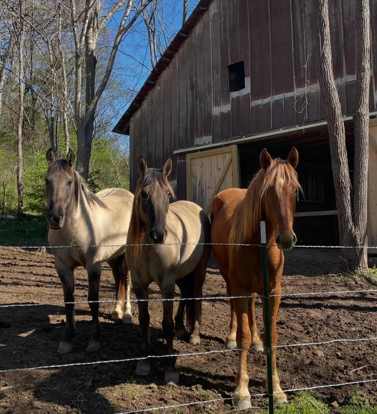 Just hanging for the weekend @snowcreekranchministries 😎☀️

#ranch 
#ranchlife 
#ministry
#snowcreekranch 
#beautifulday