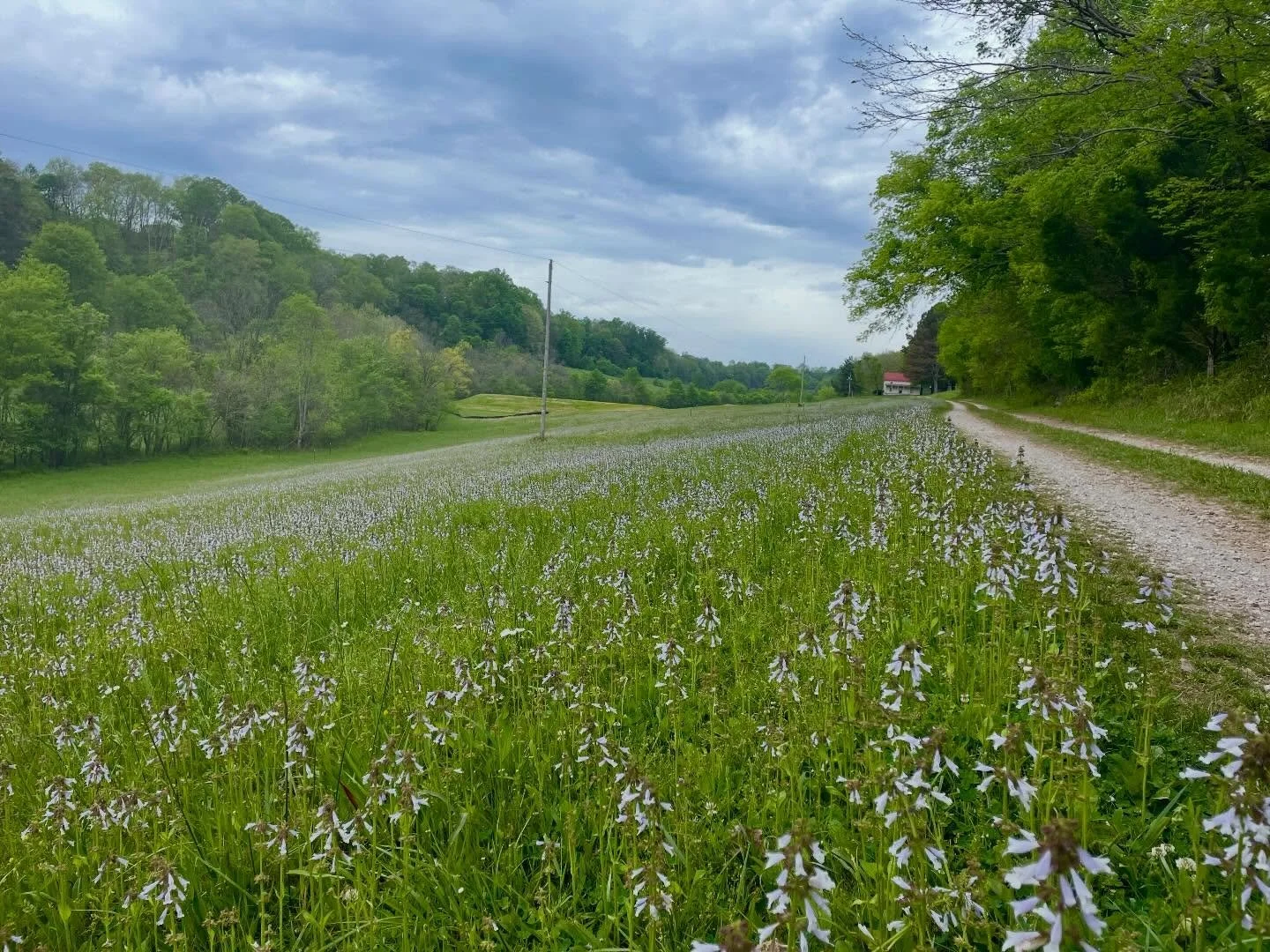 Commute views never get old. 

@snowcreekranchministries 

#ranch 
#ranchlife 
#snowcreekranch 
#commute