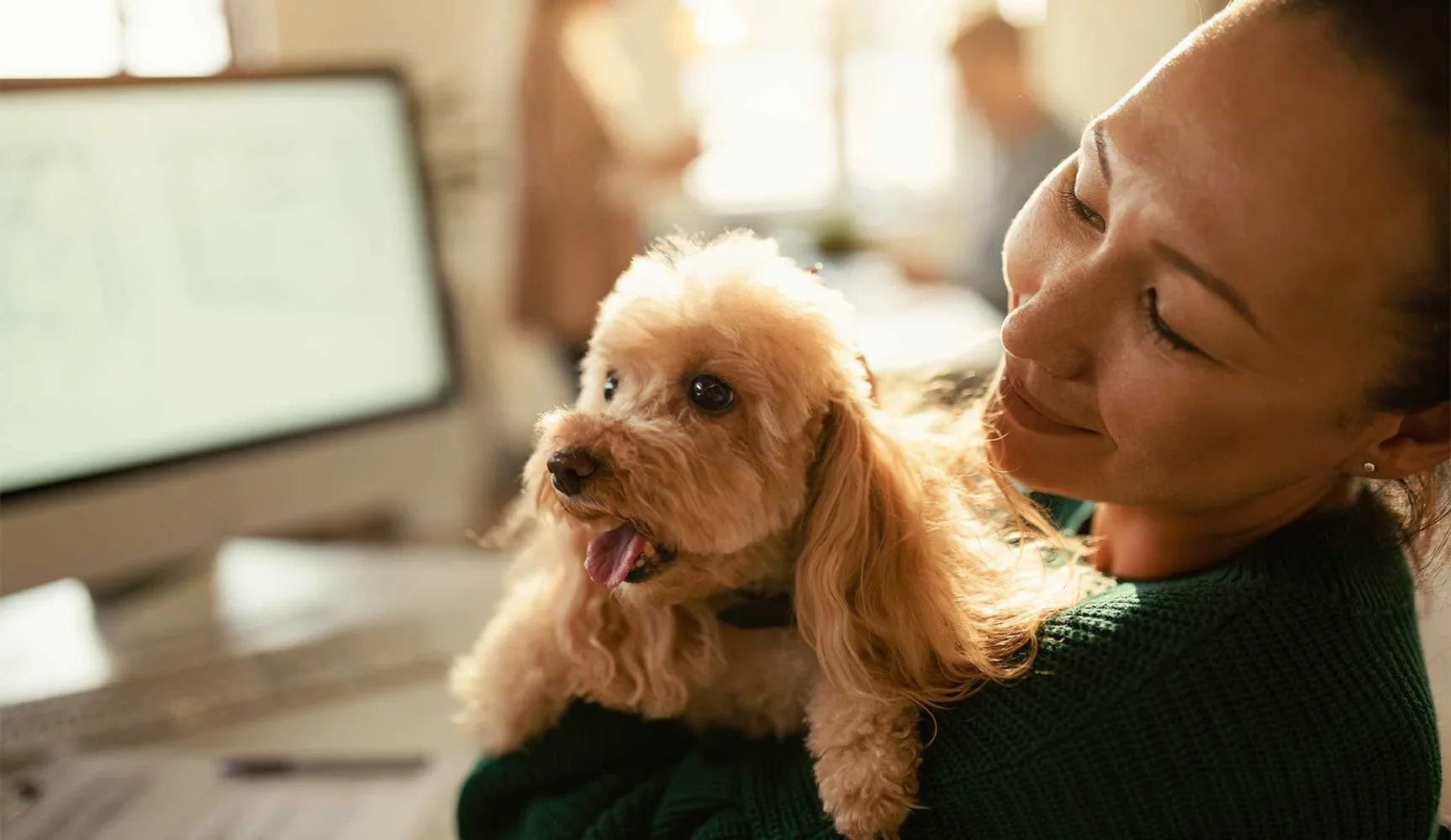 Pet friendly.webp