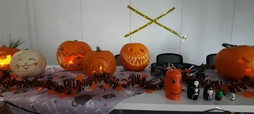 pumpkins+1.webp