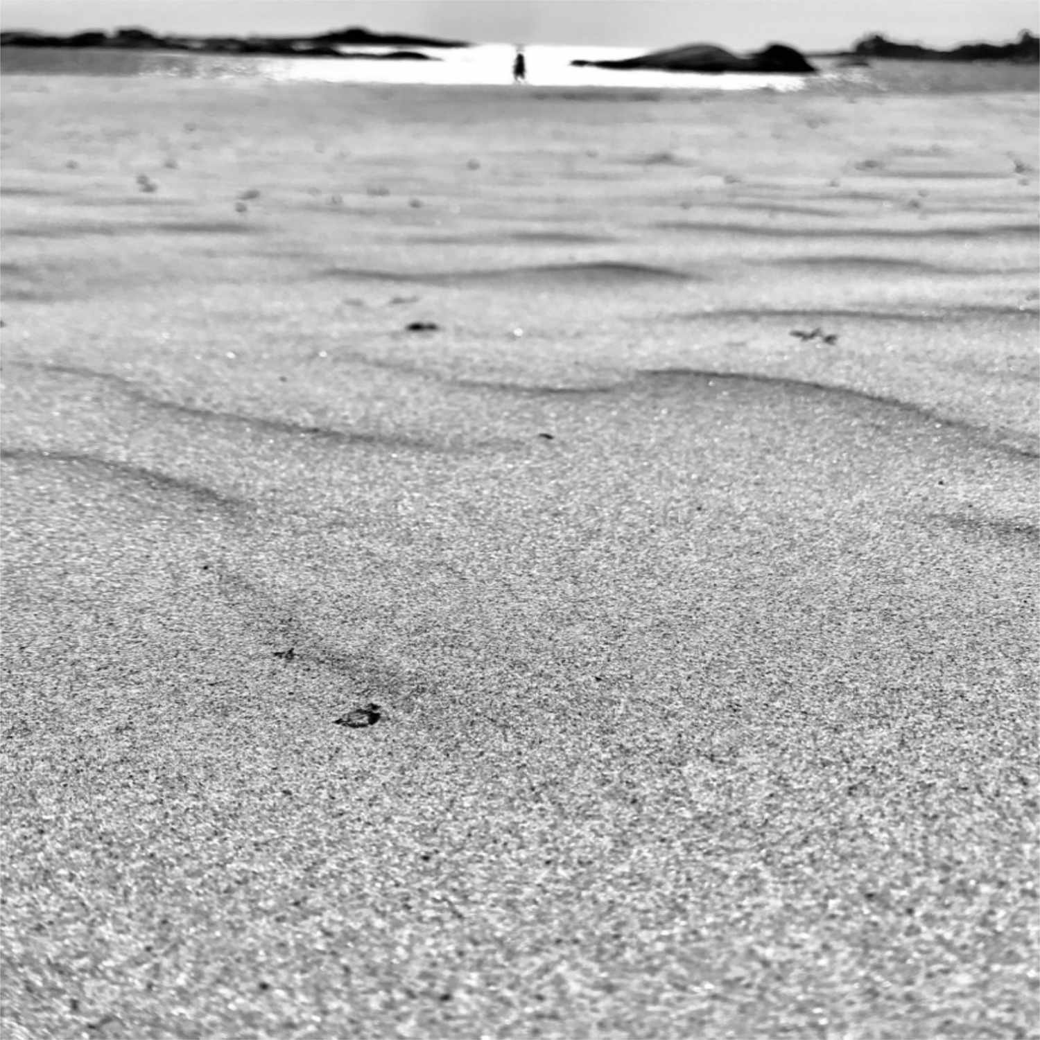 Sands of Time