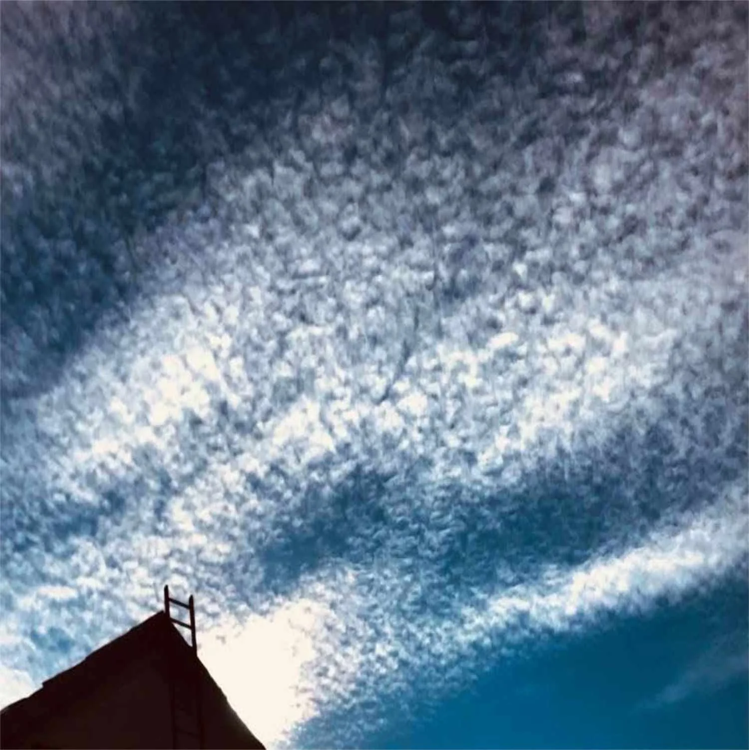 Ladder Day Sky