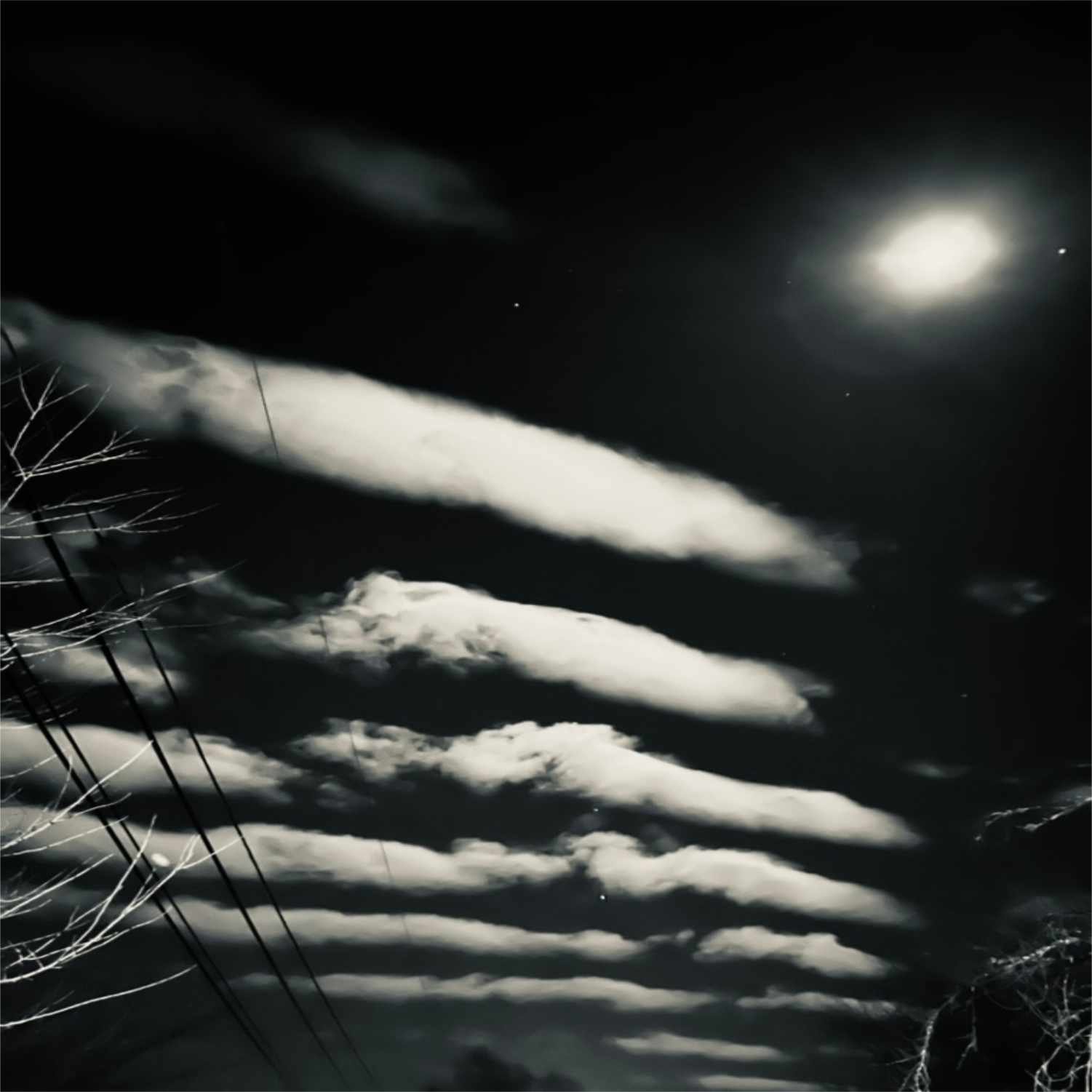 Running With The Moon