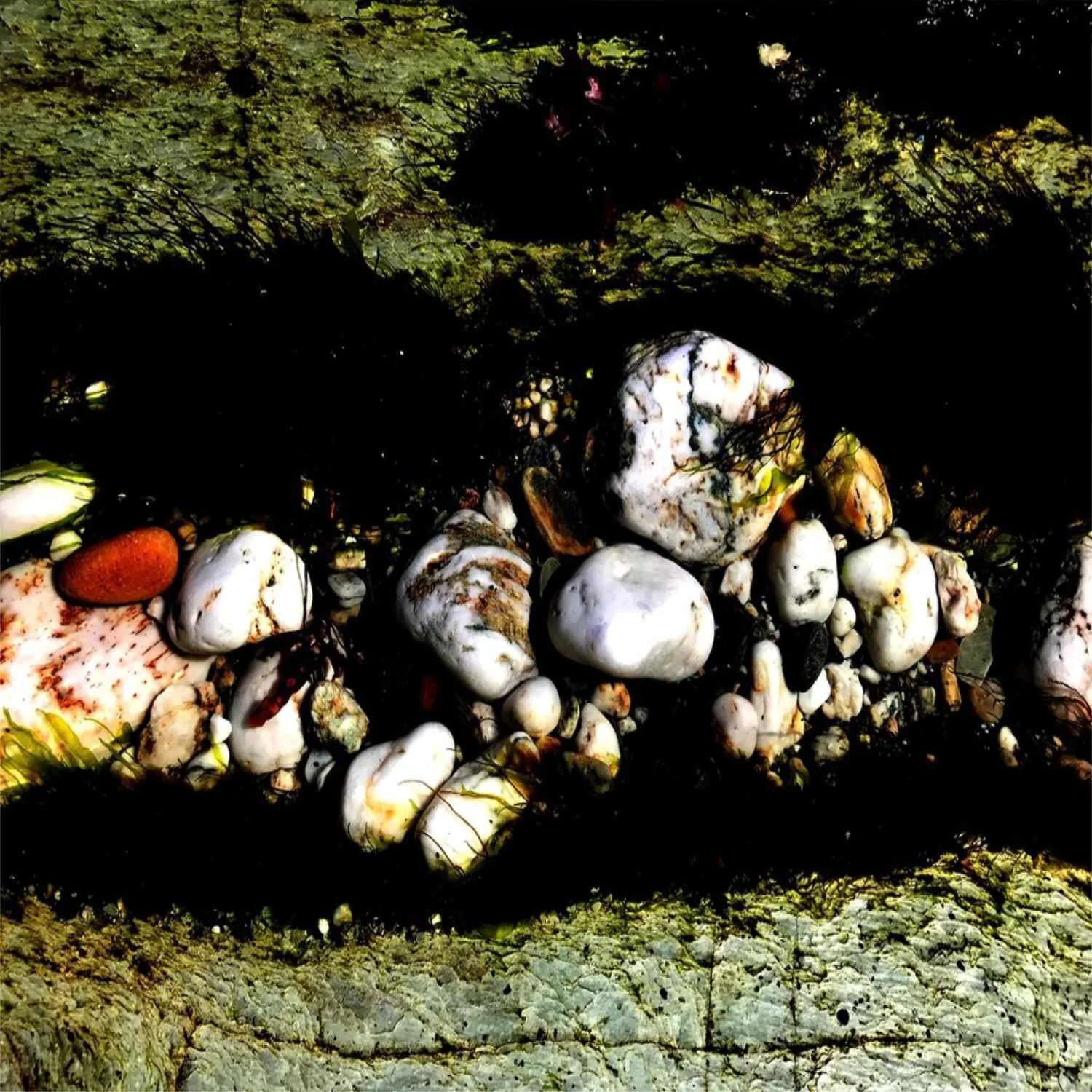 Rock Snacks