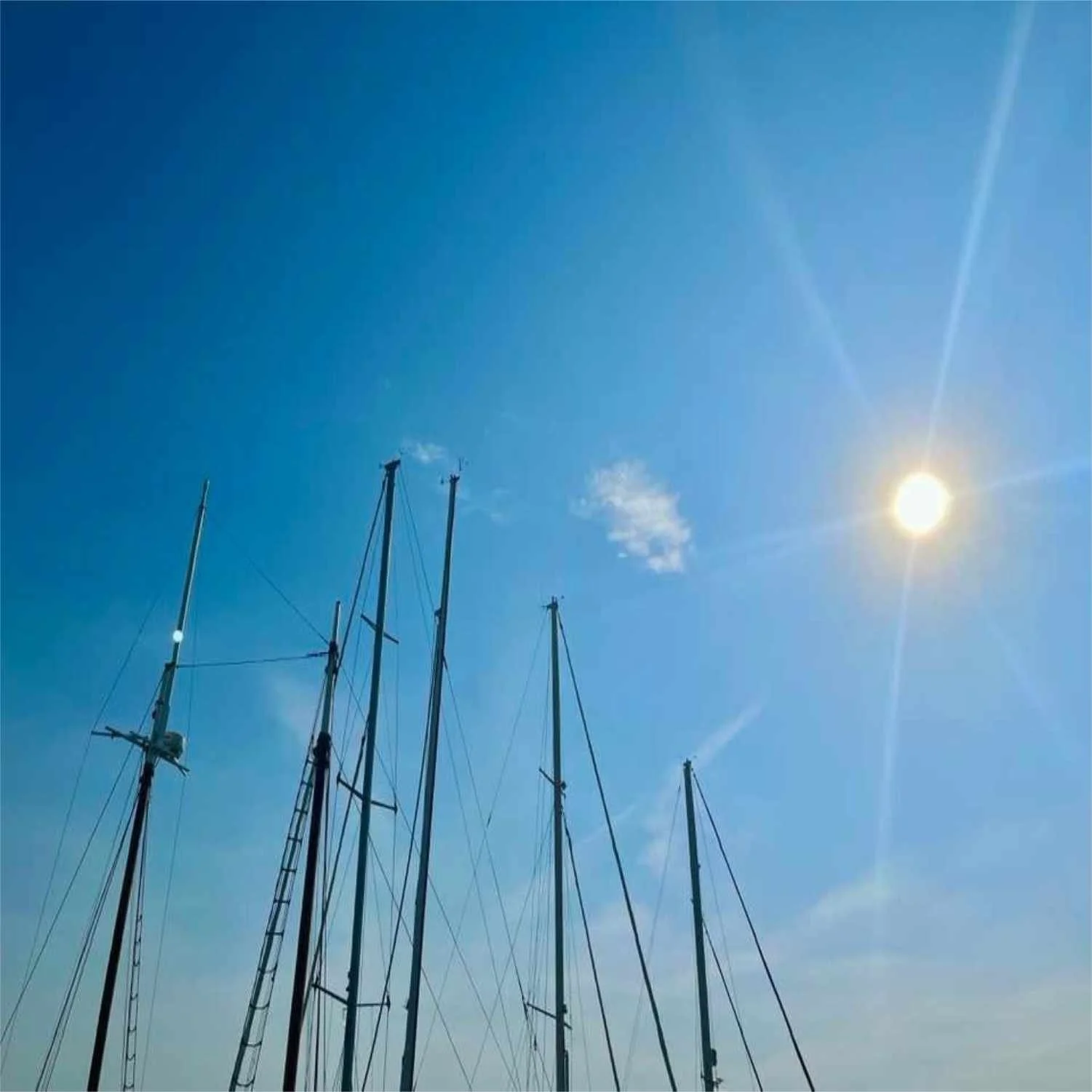 Masts Up