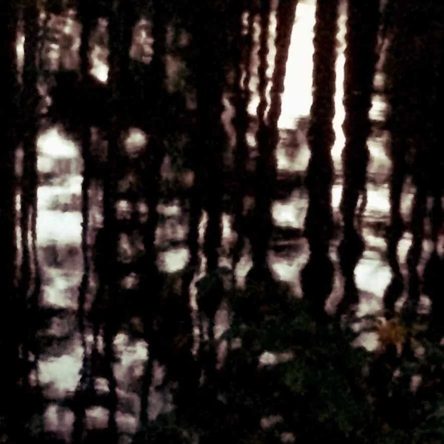 Pond Water Reflections
