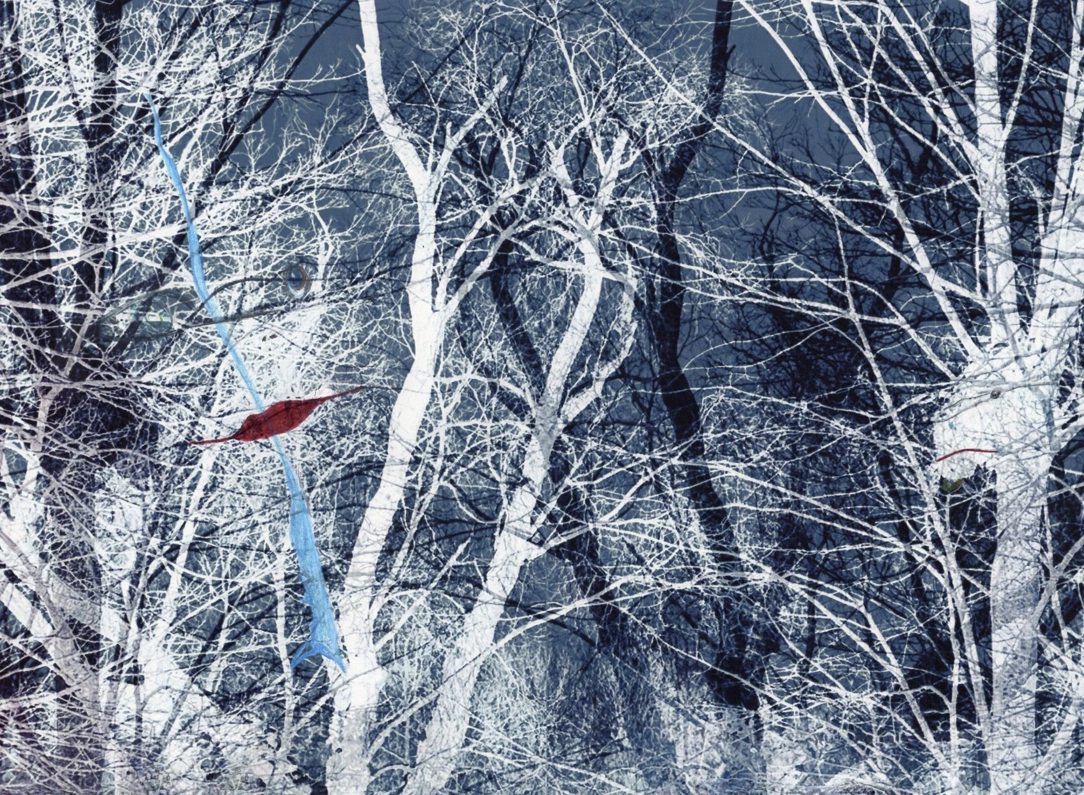 Mid-Winter