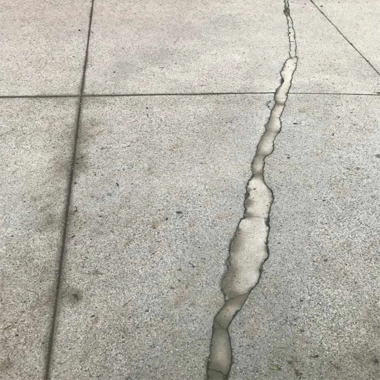 Heart Line