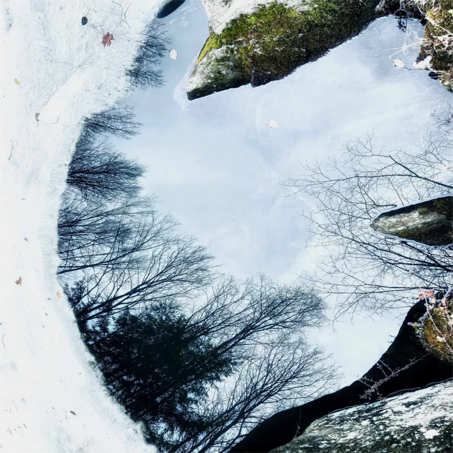 Winter Puddle