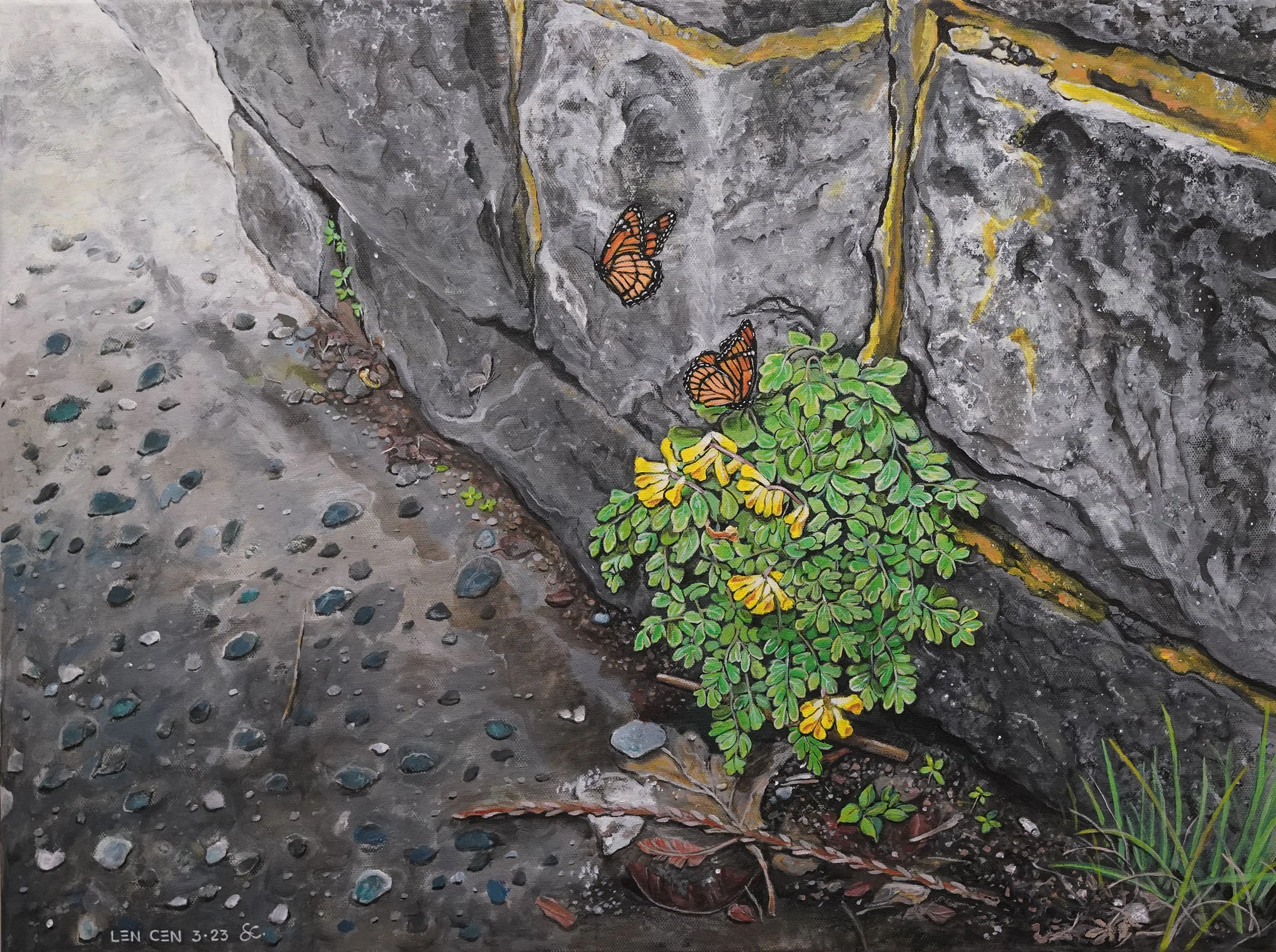 Viceroys (acrylic on canvas, 18×24)