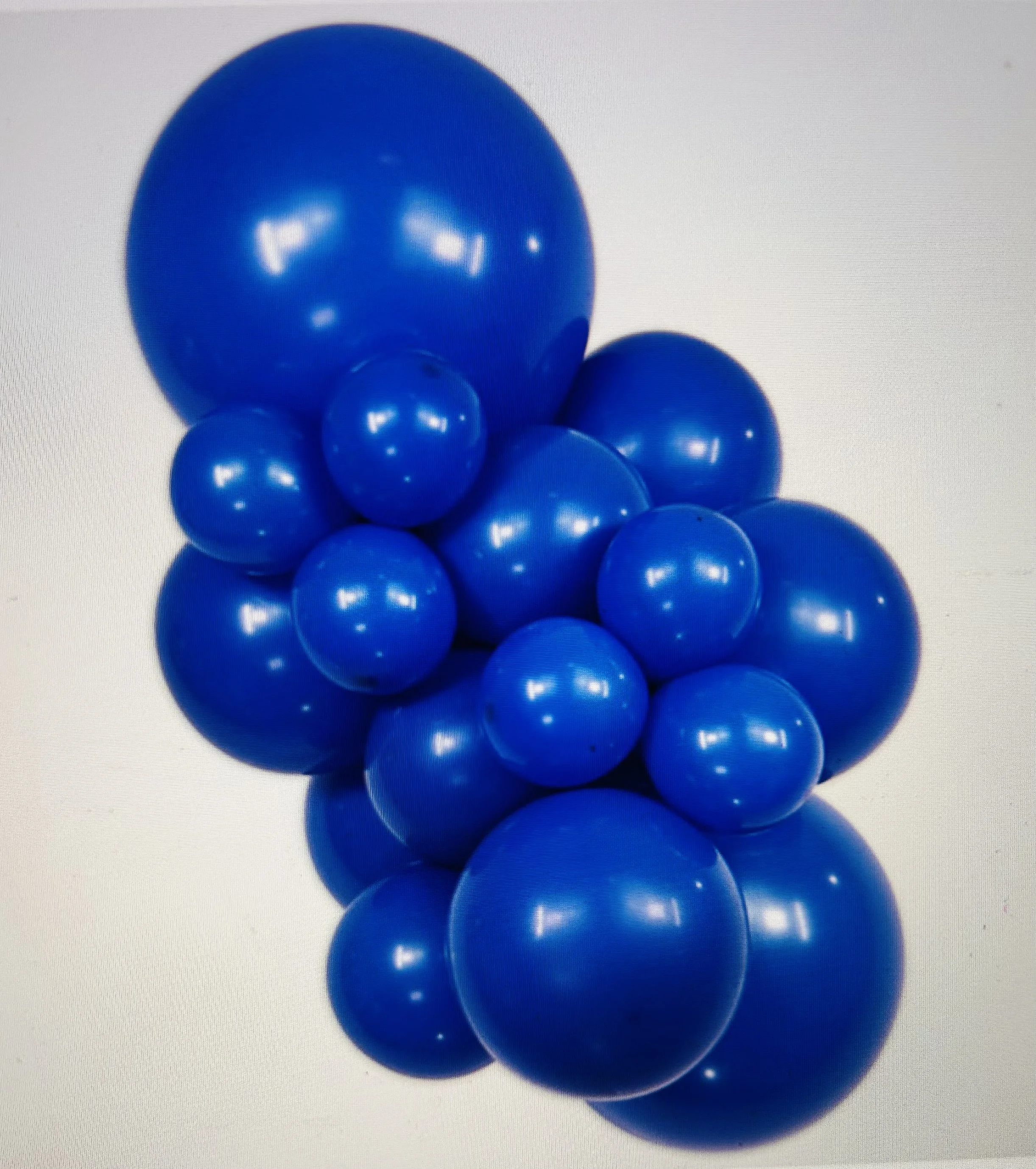 Sempertex 5" Royal Blue 20 Ct Mini-Pack