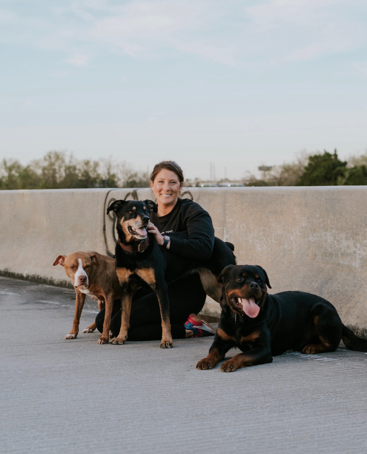 A woman with three dogs on a bridge during dusk, smiling at the camera. The dogs are a mixed breed with tan and black fur, and Rottweilers, one lying down with tongue out, the other sitting with attentive expression.
