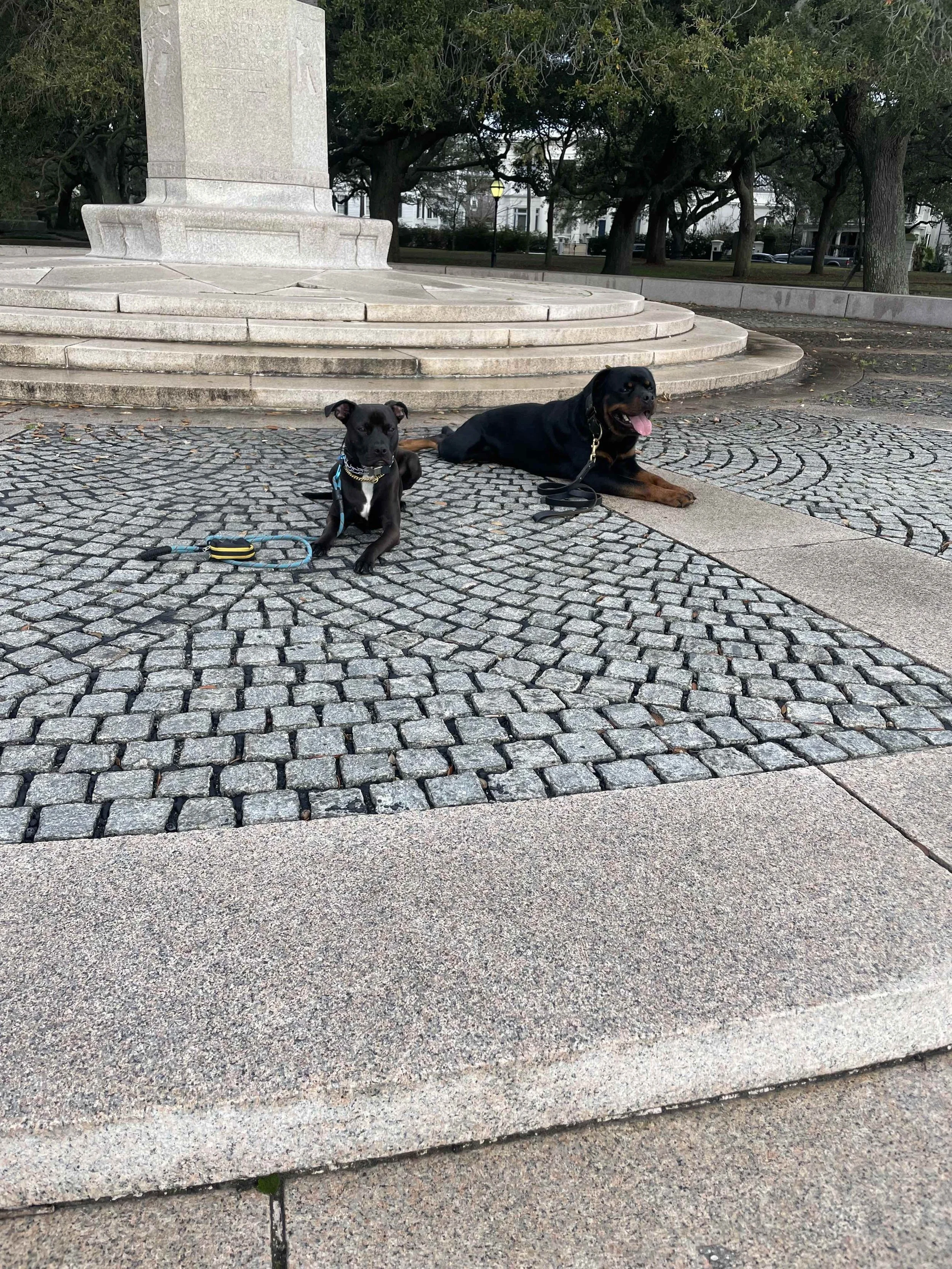 Two dogs, one small and one large, resting on a cobblestone pavement in front of a stone monument with steps, trees, and park benches in the background.
