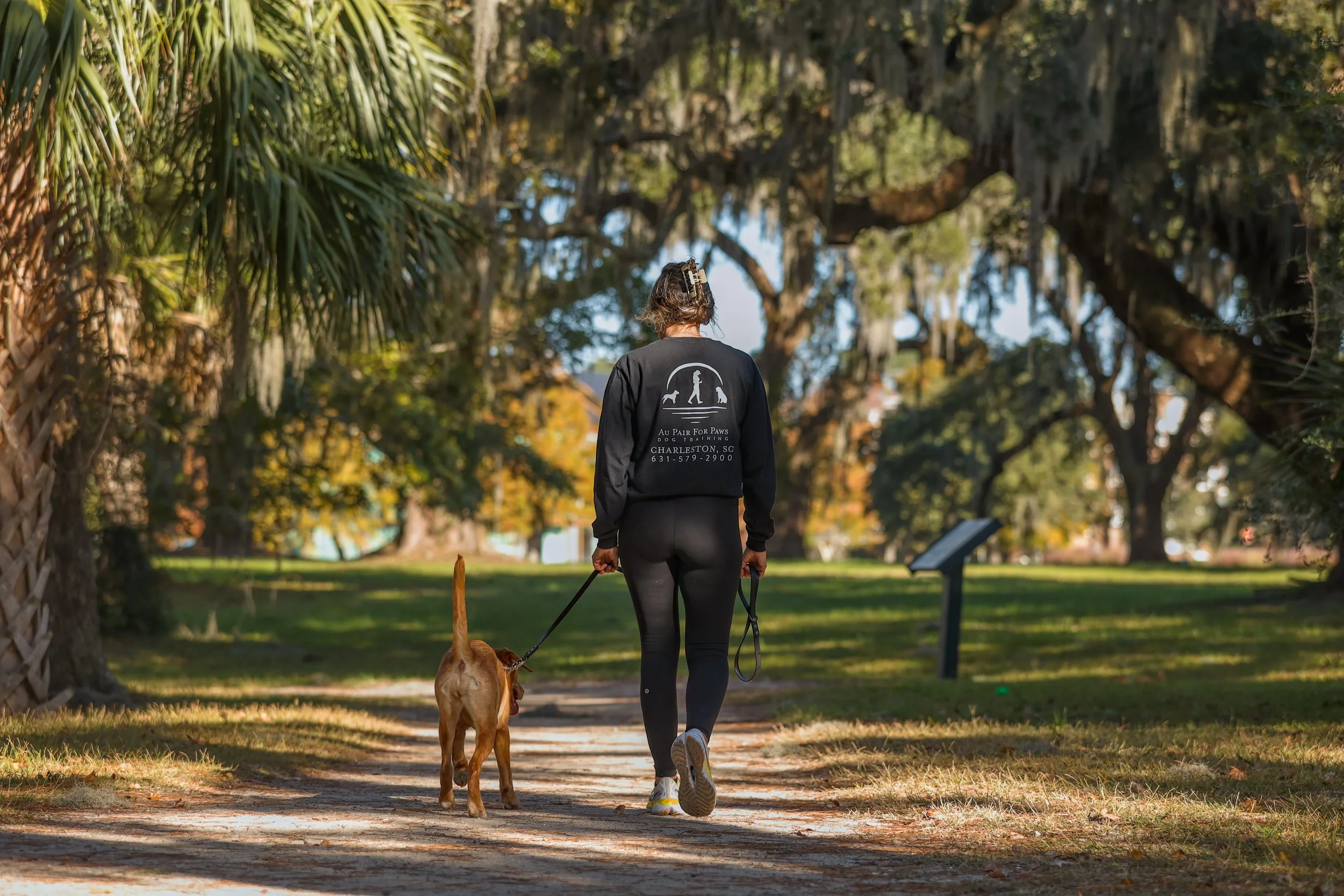 A woman walking a dog on a leash through a park with trees and sunlight.