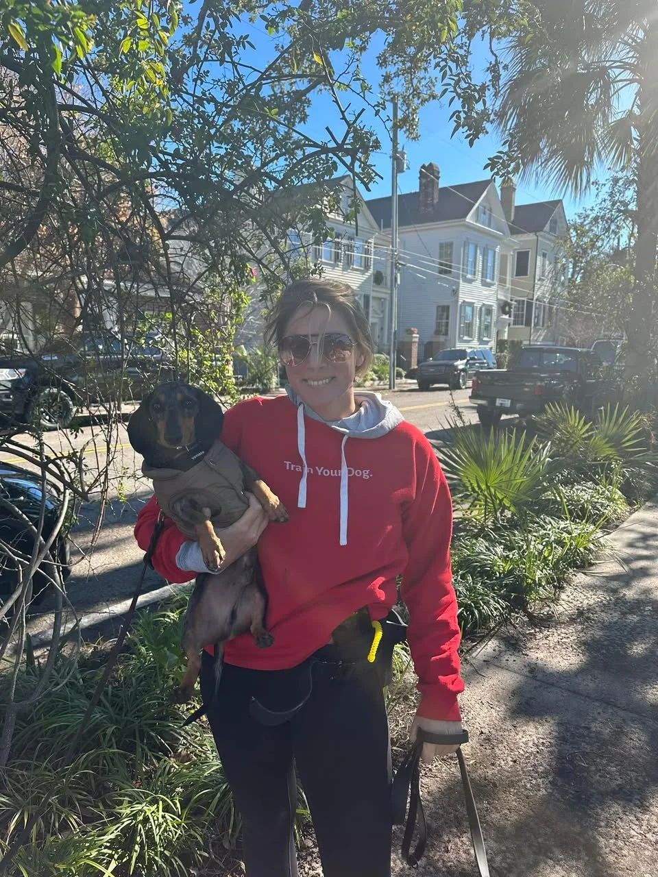 A woman wearing sunglasses and a red hoodie standing on a sidewalk, holding a small black and tan dog dressed in a beige jacket. Behind her are houses, a street with parked cars, trees, and sunny weather.