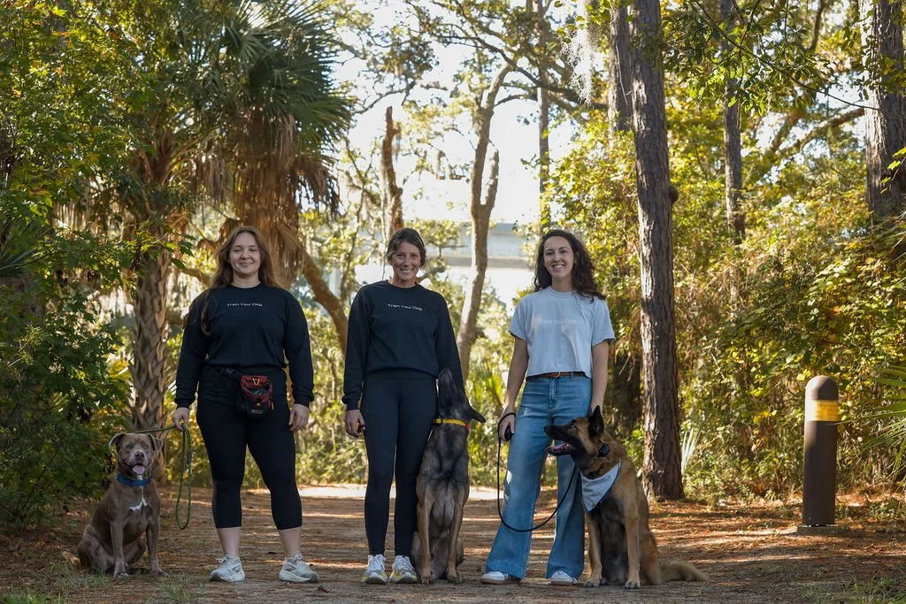 Three women walking dogs on a wooded path in the park, smiling and enjoying the outdoor scenery on a sunny day.