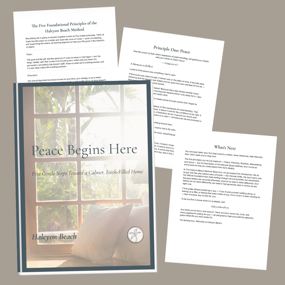 Peace Begins Here Guide Foundational Principles