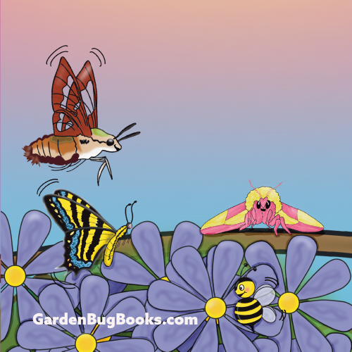 Meet the Moths: Miss Molly Mae &amp; Miss Maple Margaret
