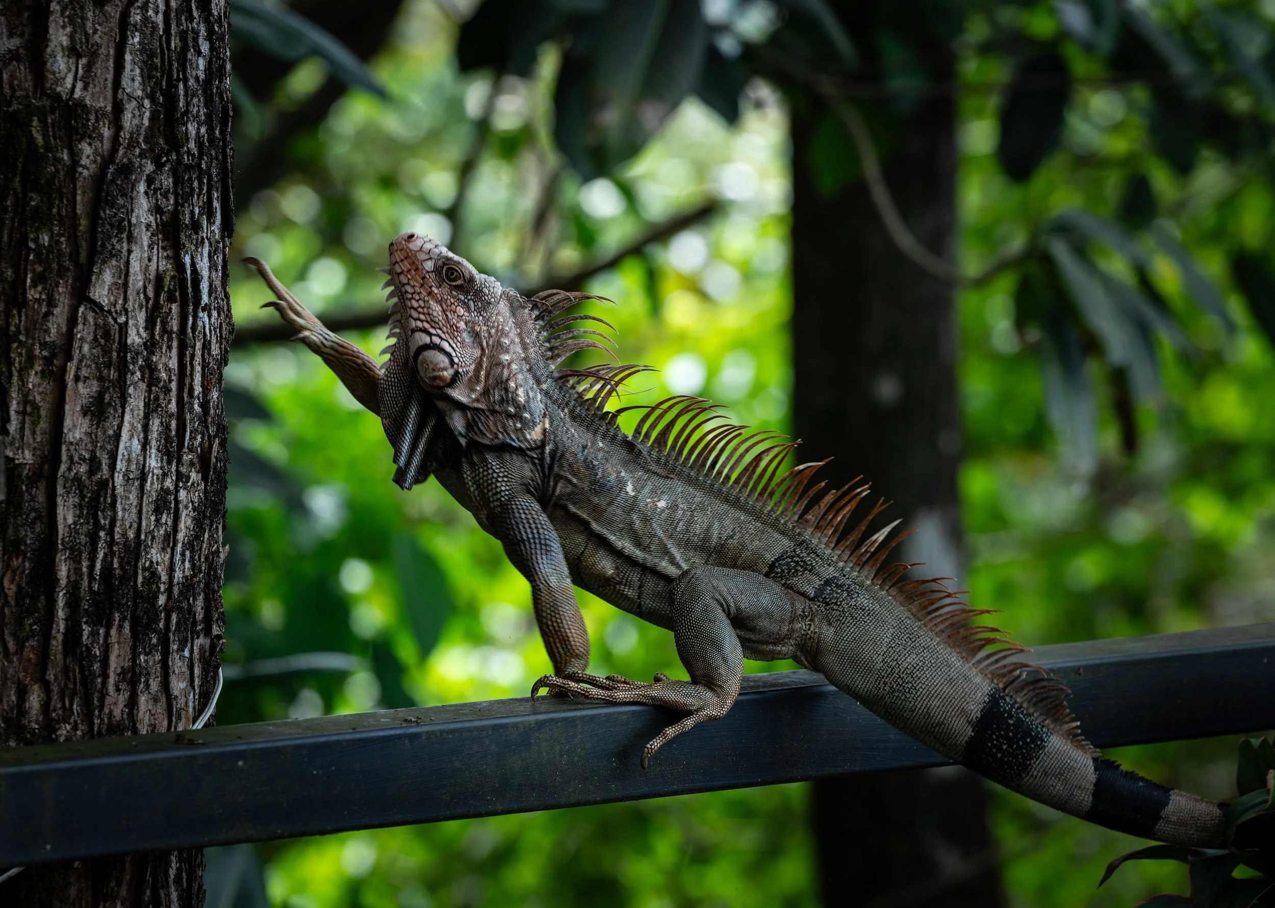 Travelling with friends, Uvita, Costa Rica