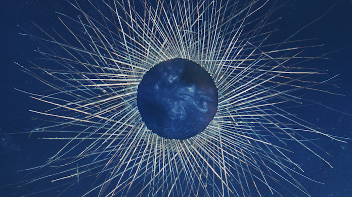 MEMORY / Ina Filip //Directed / Johnny Ranger & Mark Ó Fearghaíl  //
Land Art / Philippe Fleury //
Drone shot / Guillaume Beaudoin //
Motion design, FX and coloring /  Étienne Després 