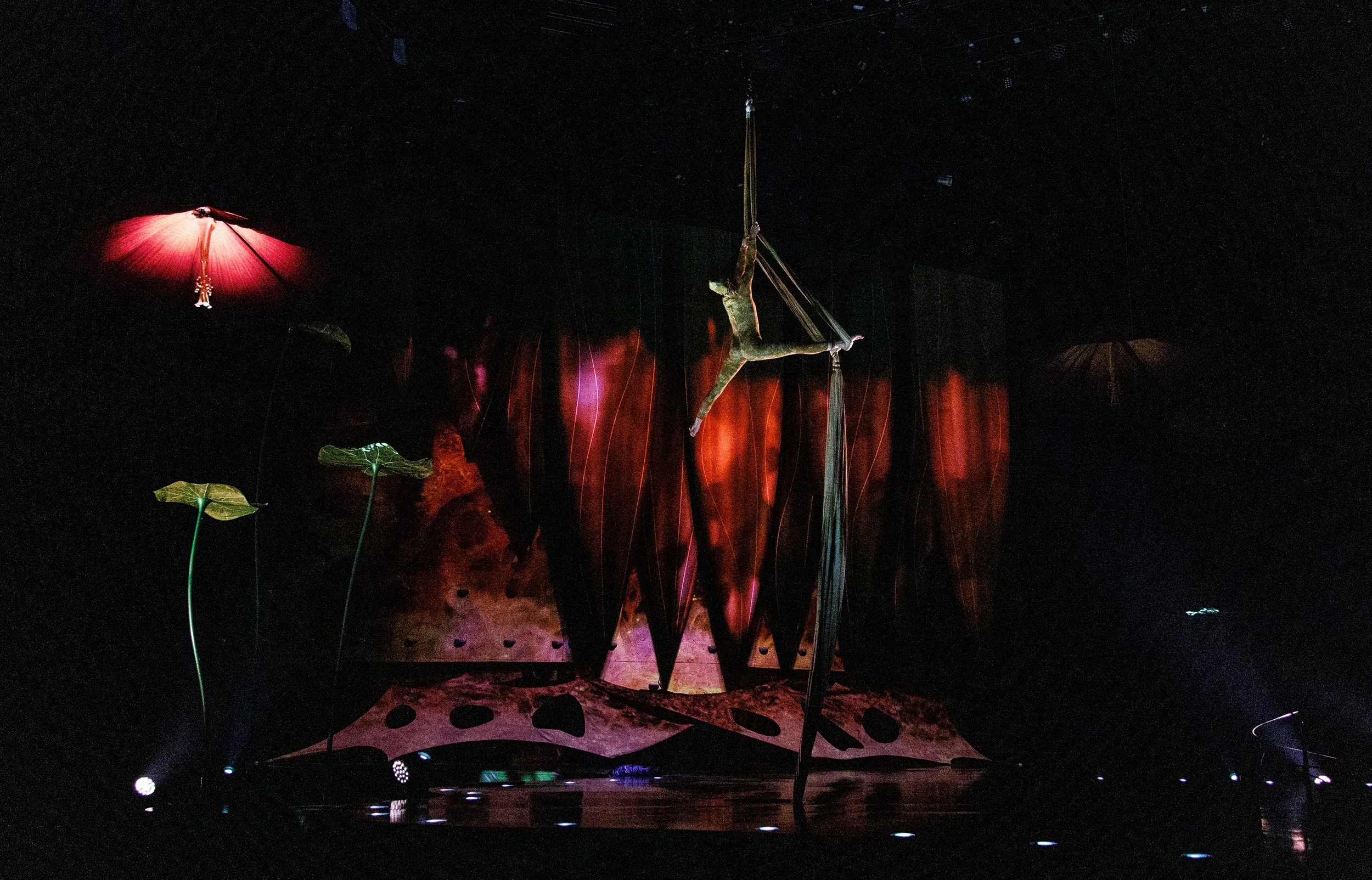 OVO / Cirque du Soleil