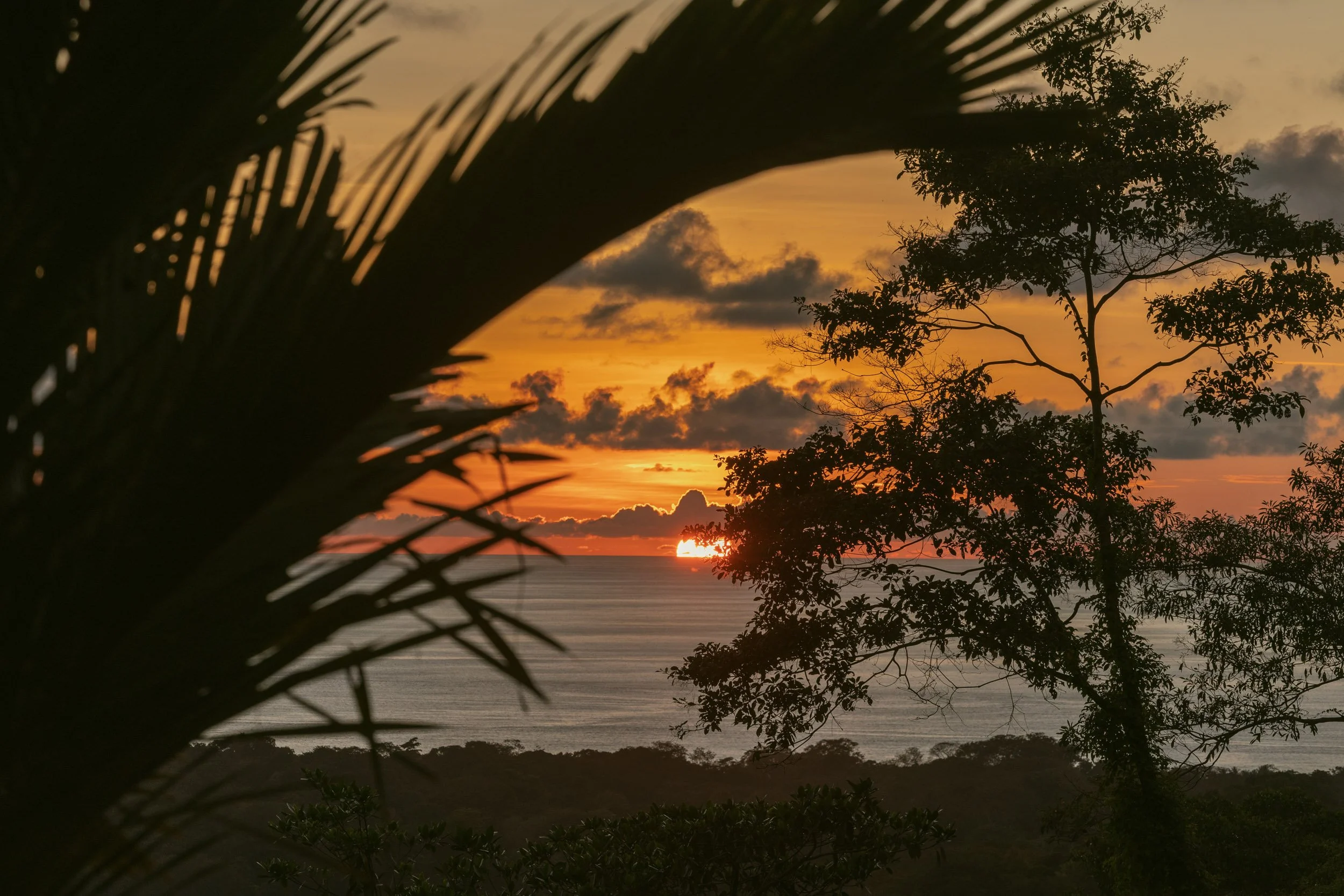 2Q0A4403-3-60HIGHRES light.jpg.jpg