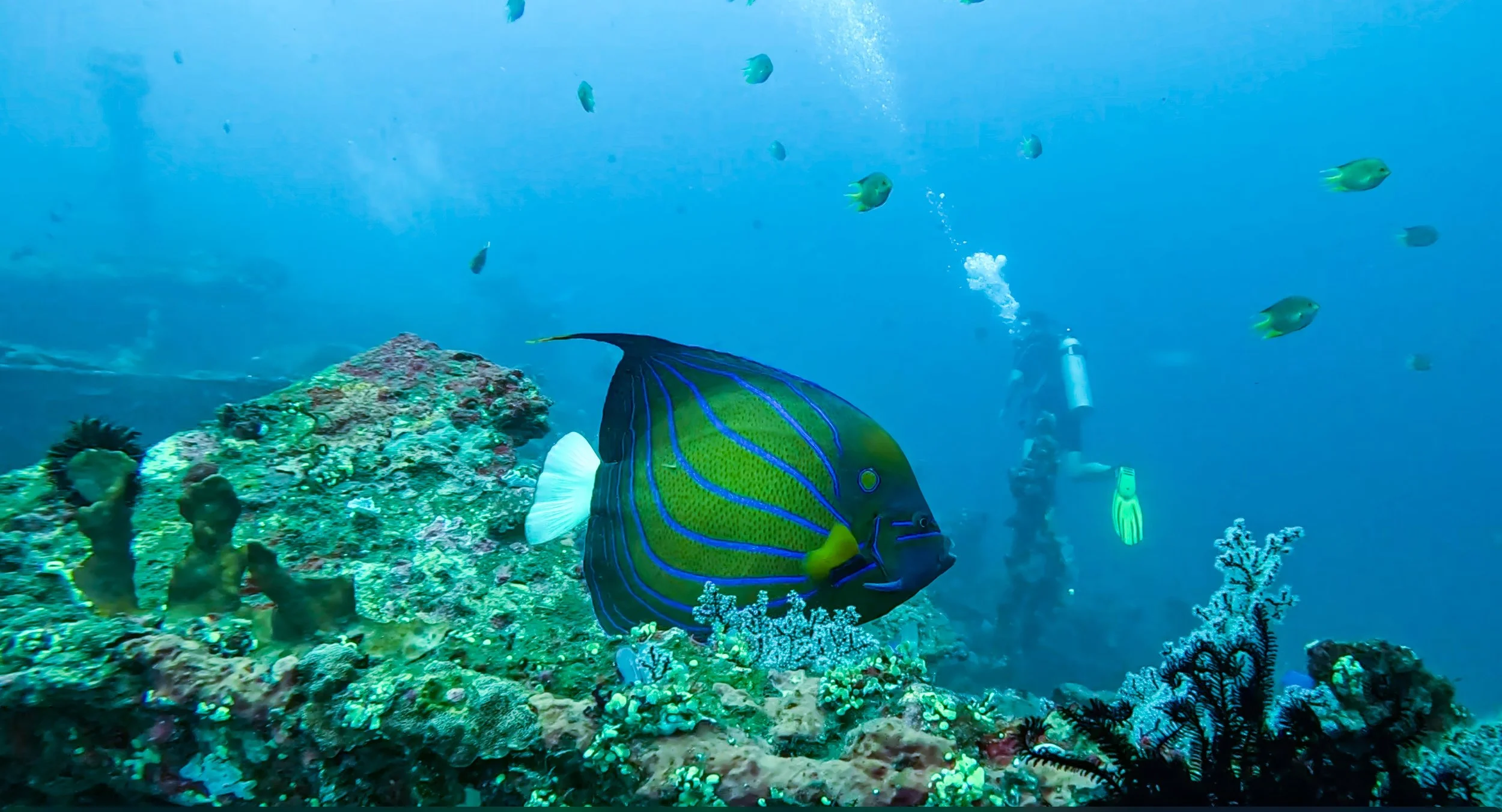 -aiScreenshot 2025-04-06 at 1.08.05 AM-1lowerres1700_pix-upscale-1.7x.jpeg