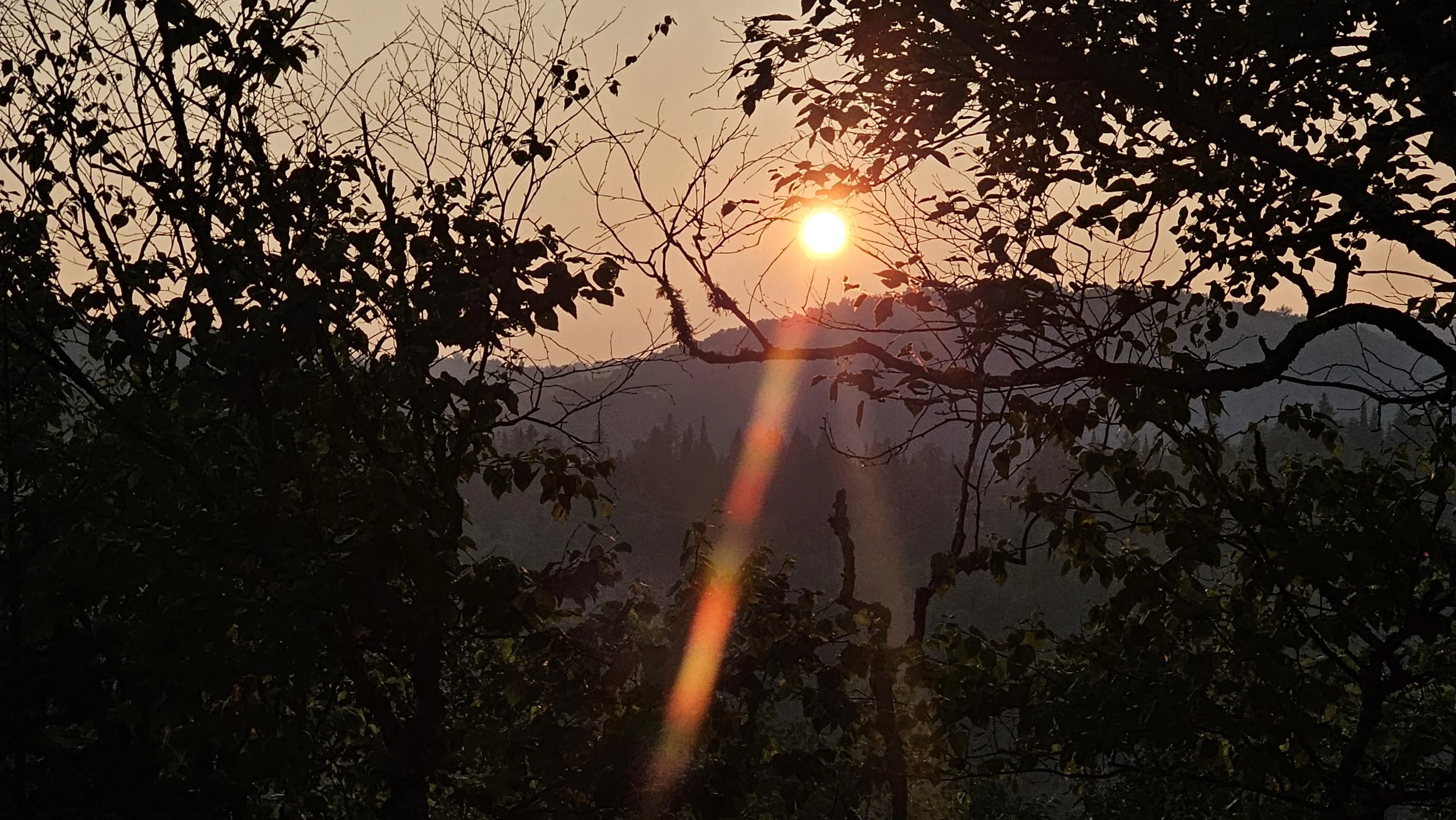 20250714_201033.jpg