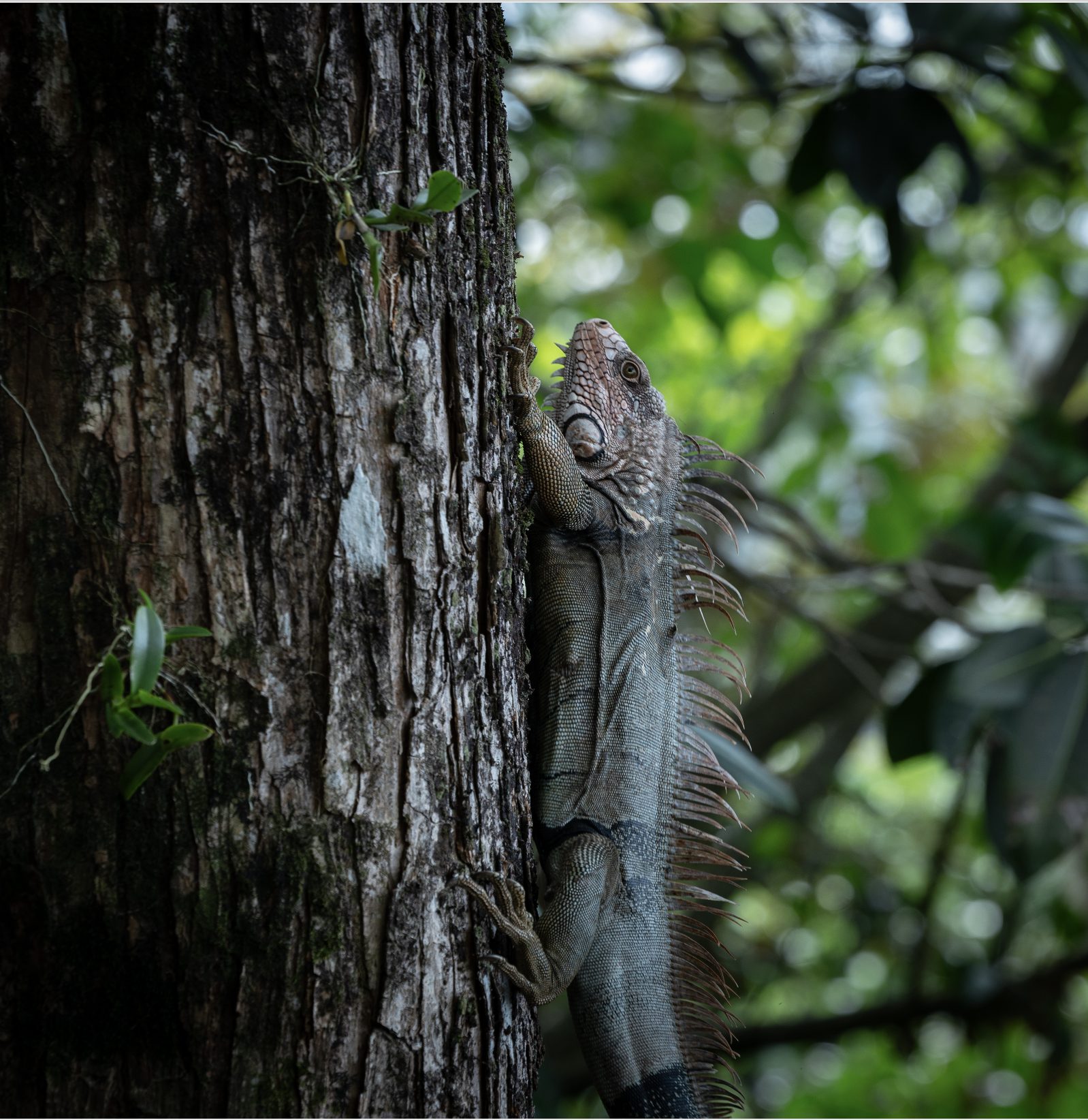 Screenshot 2026-02-27 at 10.59.43 PM.png