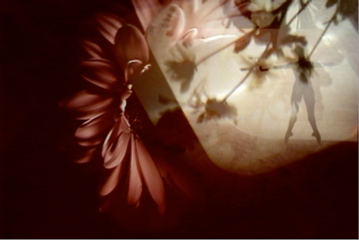 Screen shot 2010-11-02 at 12.59.29 PM.png