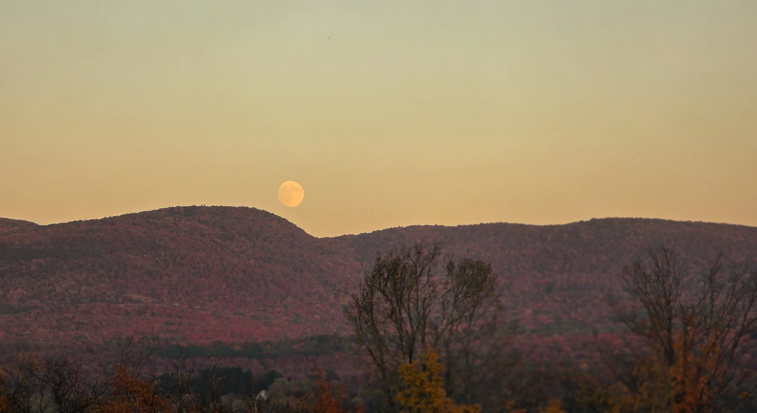 20251005_180935-1HIGHRES light.jpg.jpg