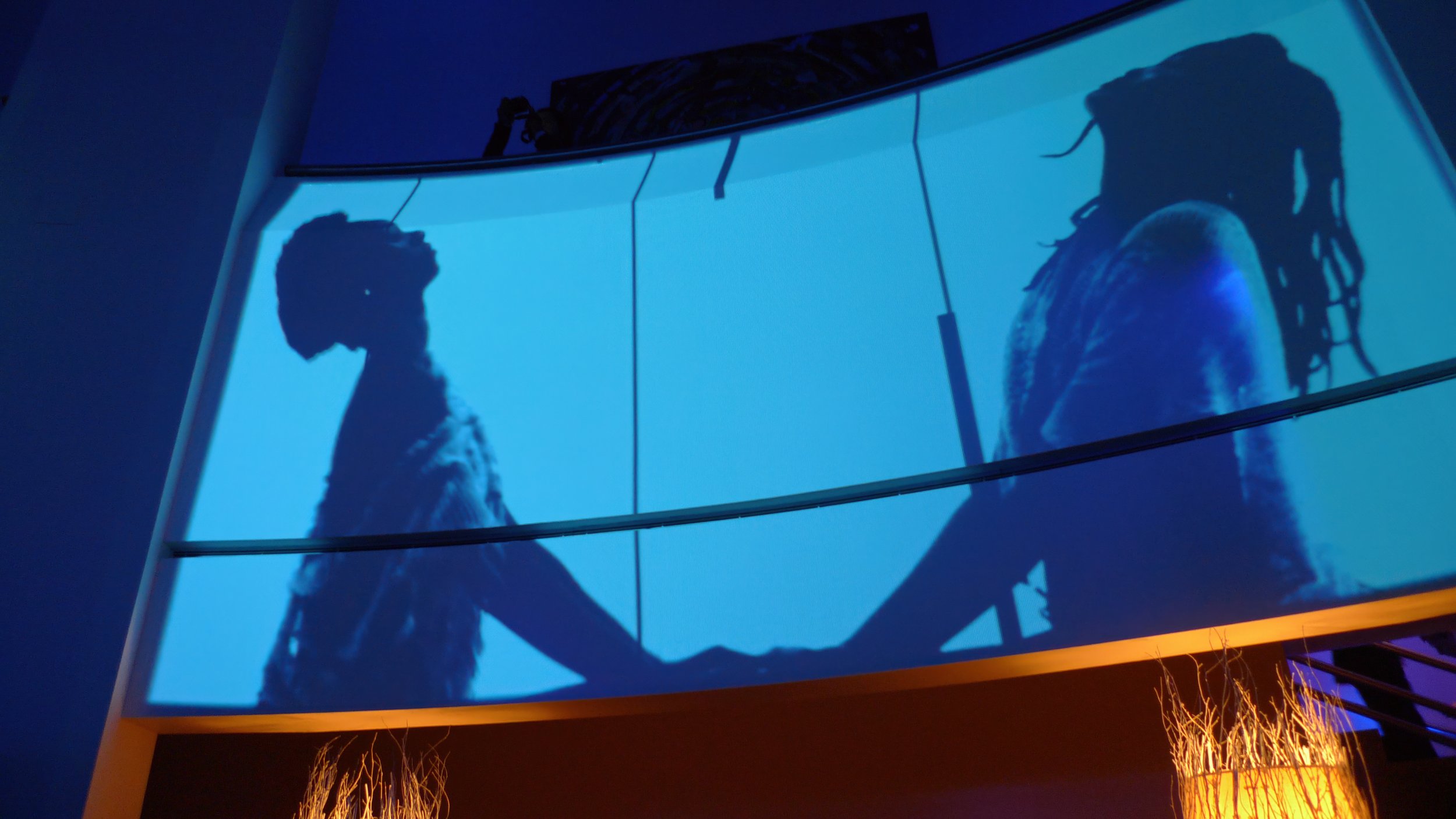 MAC Congemporary art museum of Montreal