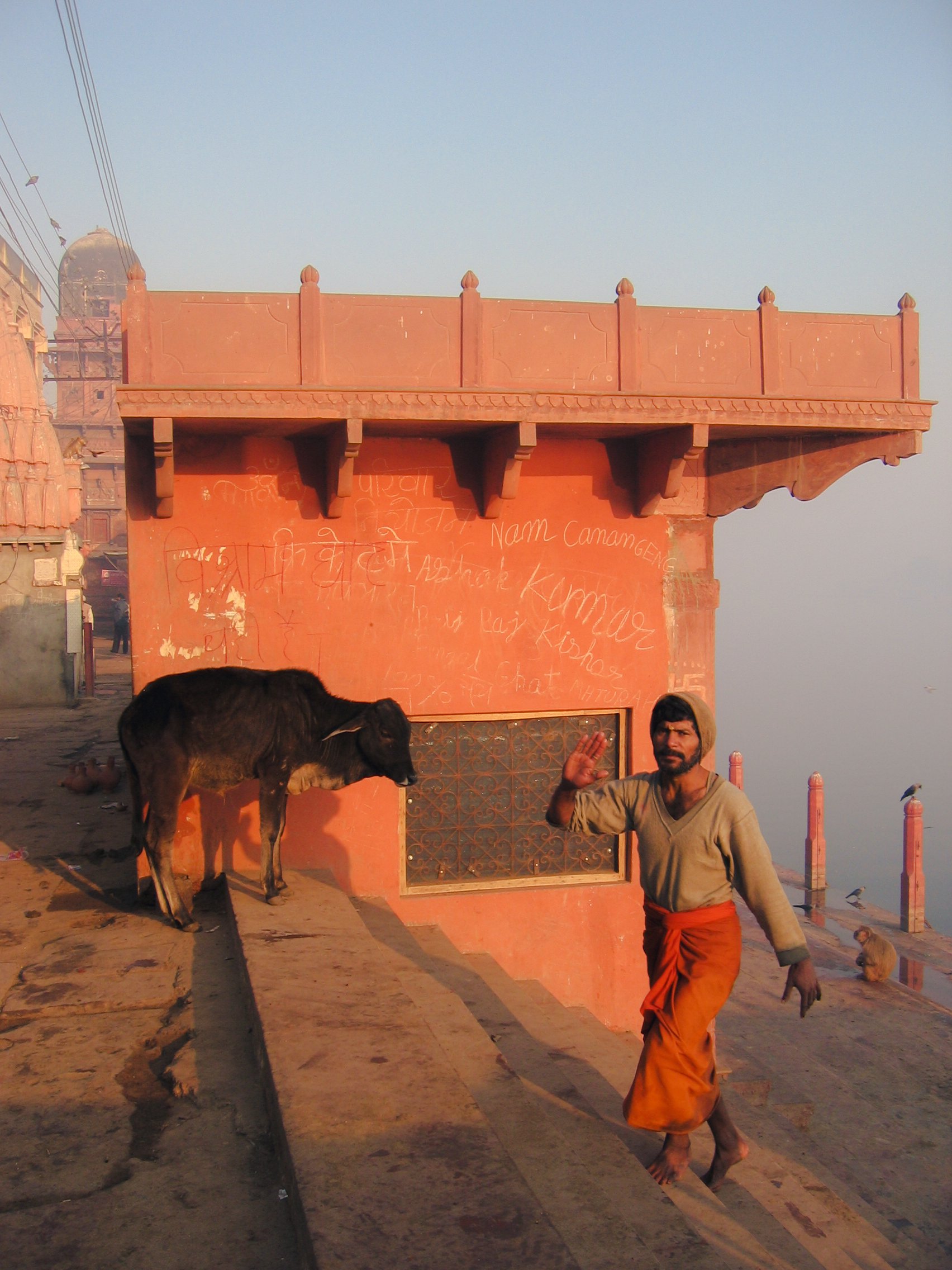 IMG_0058-1HIGHRES light.jpg-2.jpg