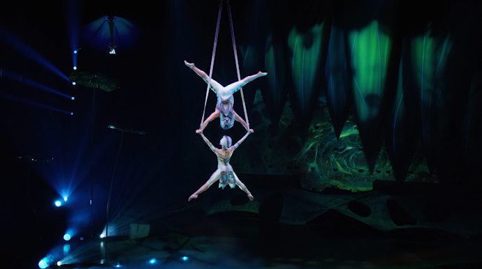 OVO / Cirque du Soleil //
Projection designer / Johhny Ranger //
Motion Design & 3D / Étienne Després  & Pierre-Guilhem Roudet  //
Generative Motion design / Ruby-Maude Rioux