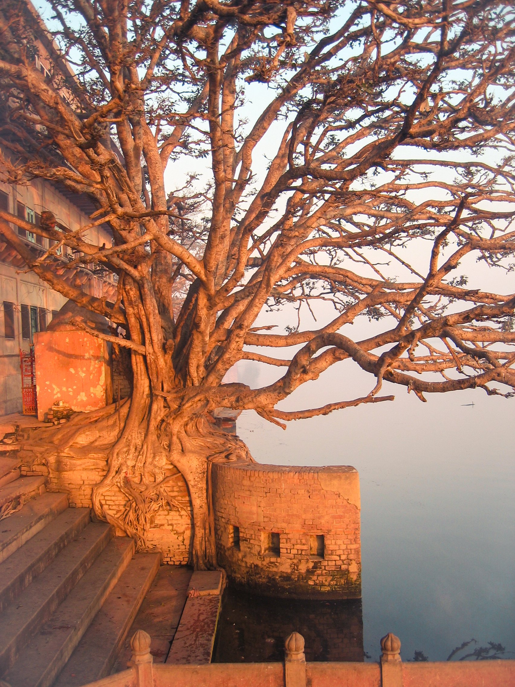 IMG_0039-1HIGHRES light.jpg-2.jpg