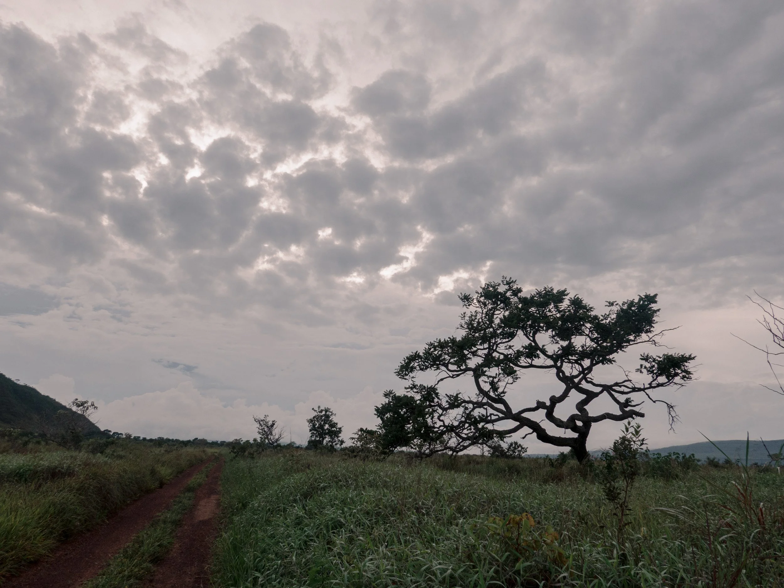 DSC04750-1HIGHRES light.jpg.jpg