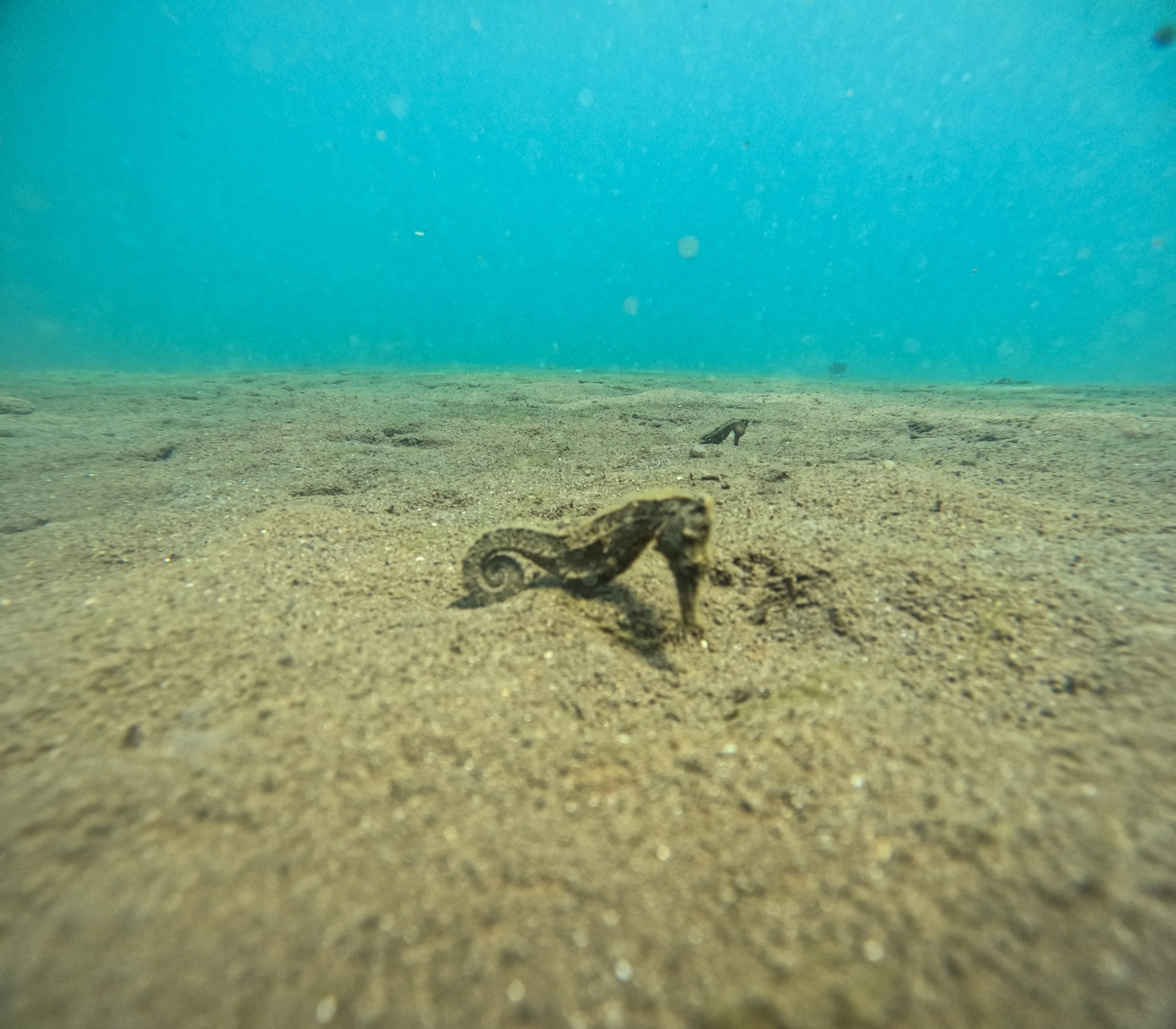 Raja Ampat, New Guinea Indonesia