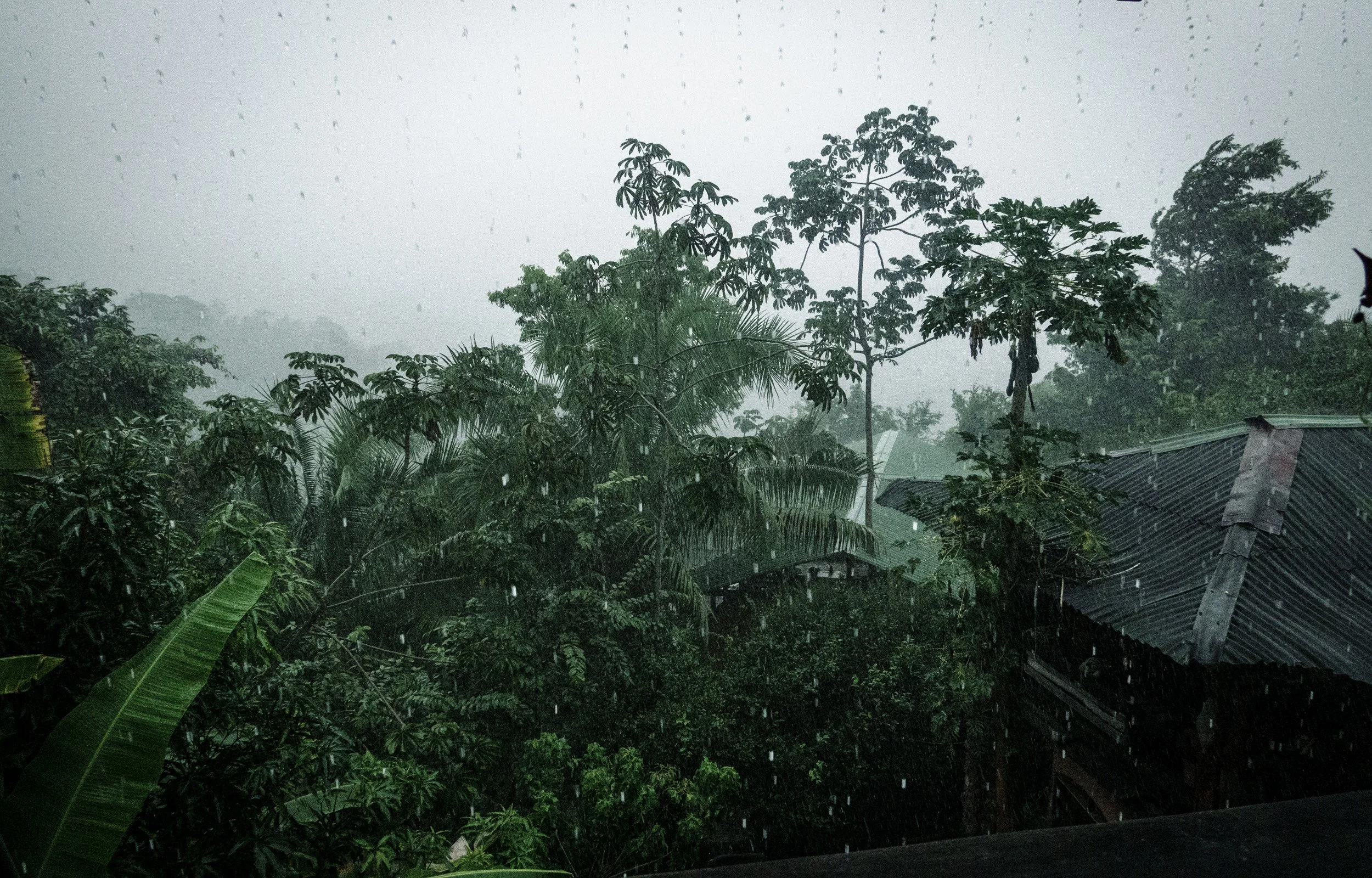 DSC04846-1HIGHRES light.jpg.jpg