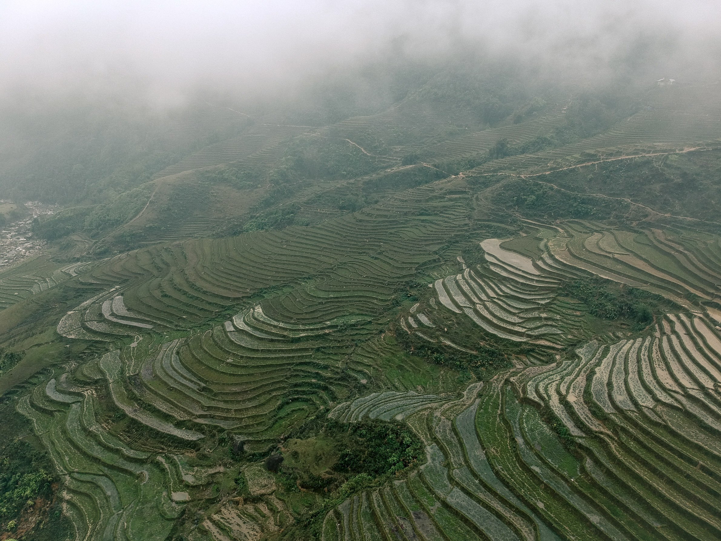 DJI_0014-light ful res-light ful res.jpg