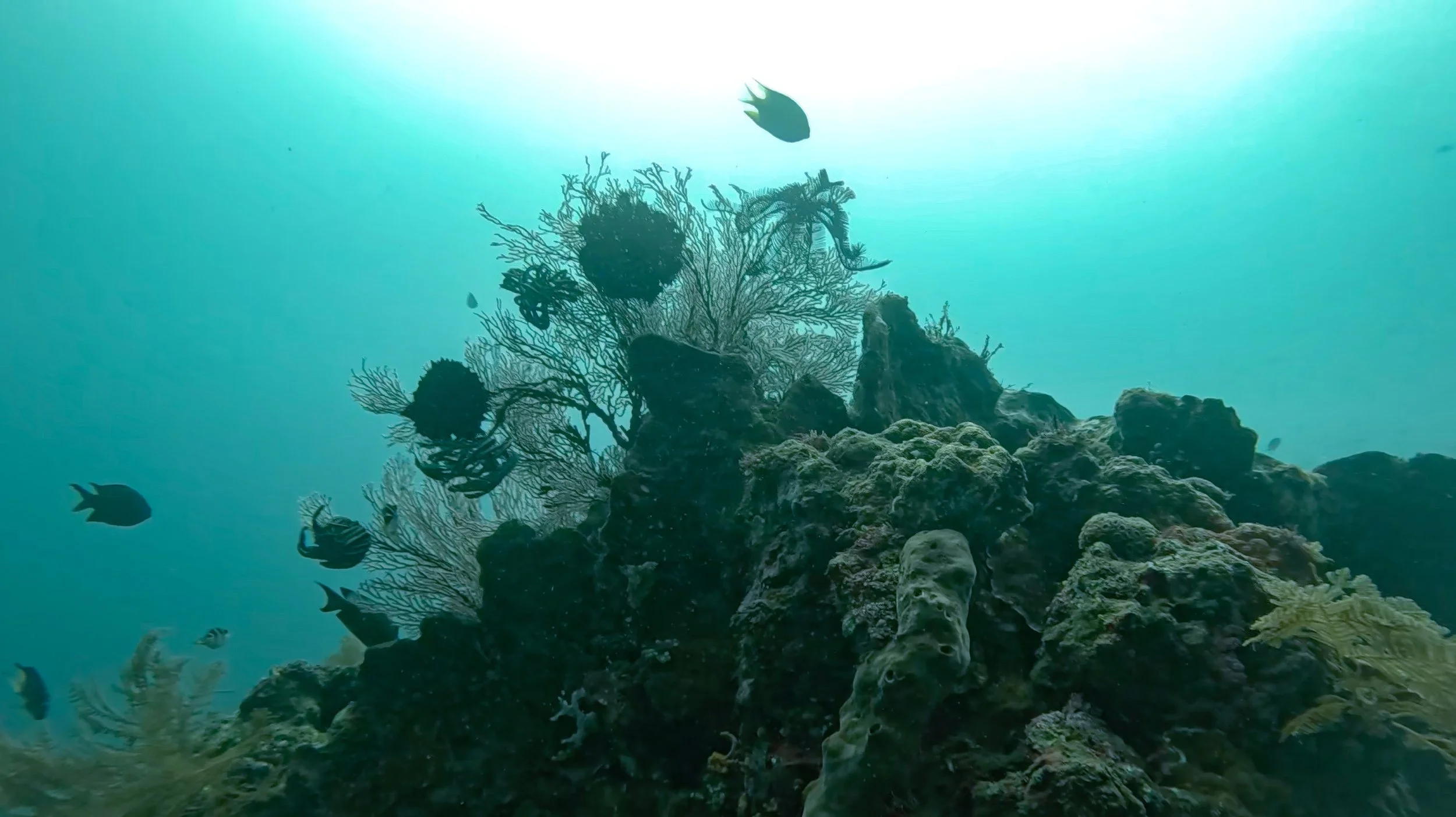 -aiScreenshot 2025-04-06 at 12.34.16 AM-1lowerres-21700_pix-upscale-1.7x.jpeg