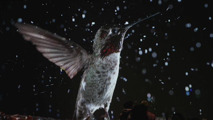 OASIS immersion / Roots For Nature //
Directed / Katerine Giguère & Johnny Ranger //
Concept / Katerine Giguère //
Image / National Geographic