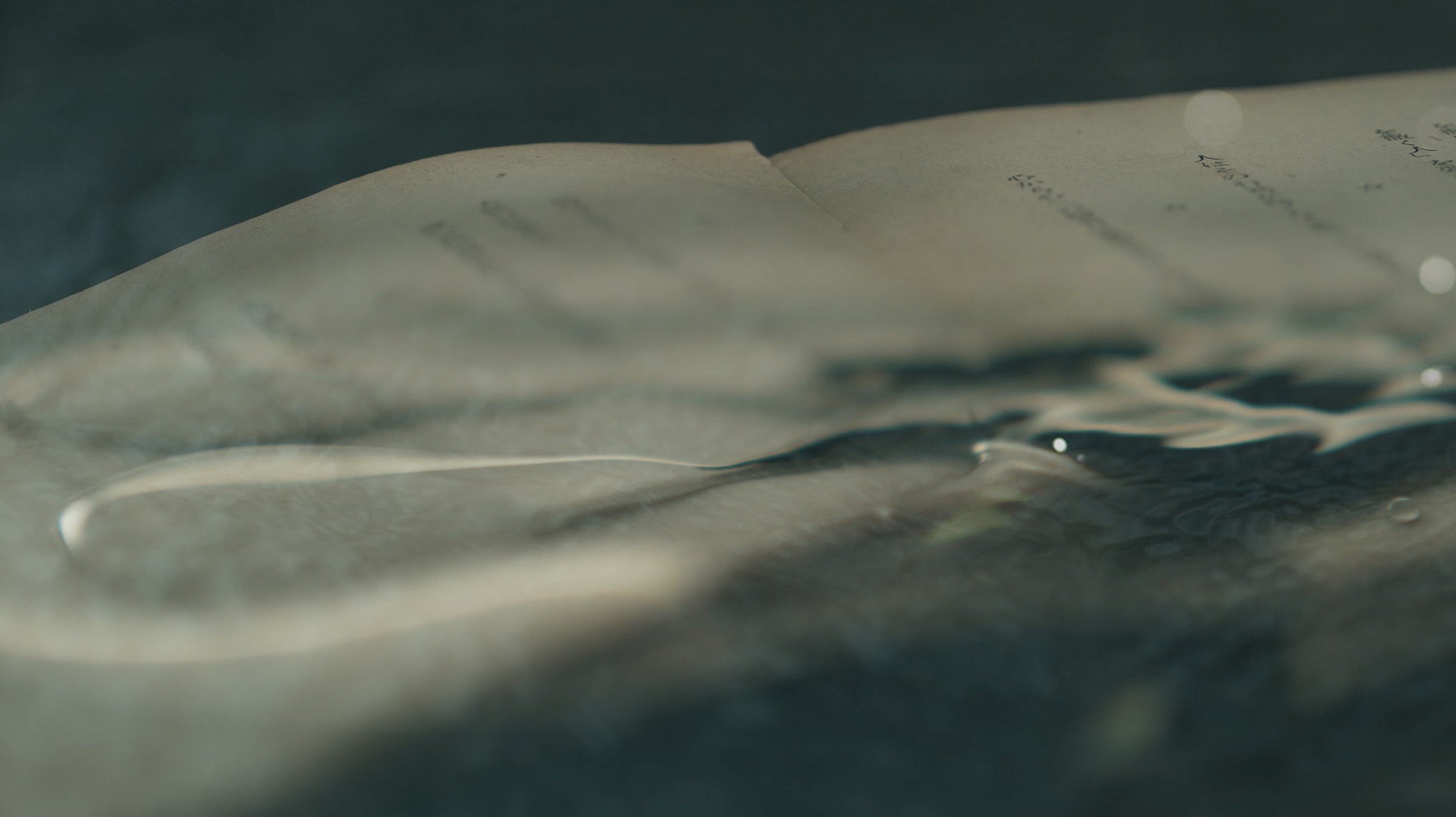 THE DARK GLOW / Mindroots