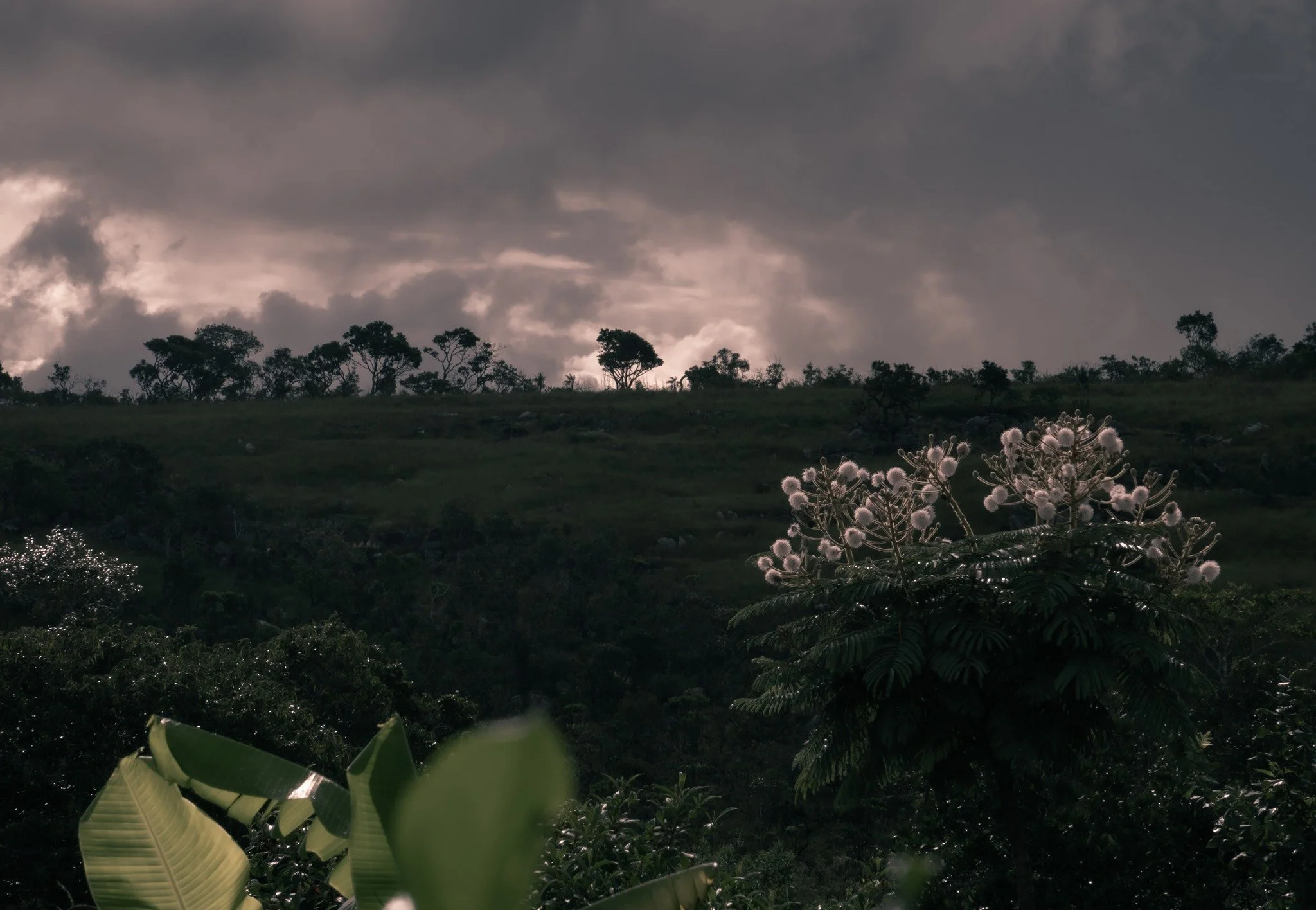 Alto Paraiso, Brazil