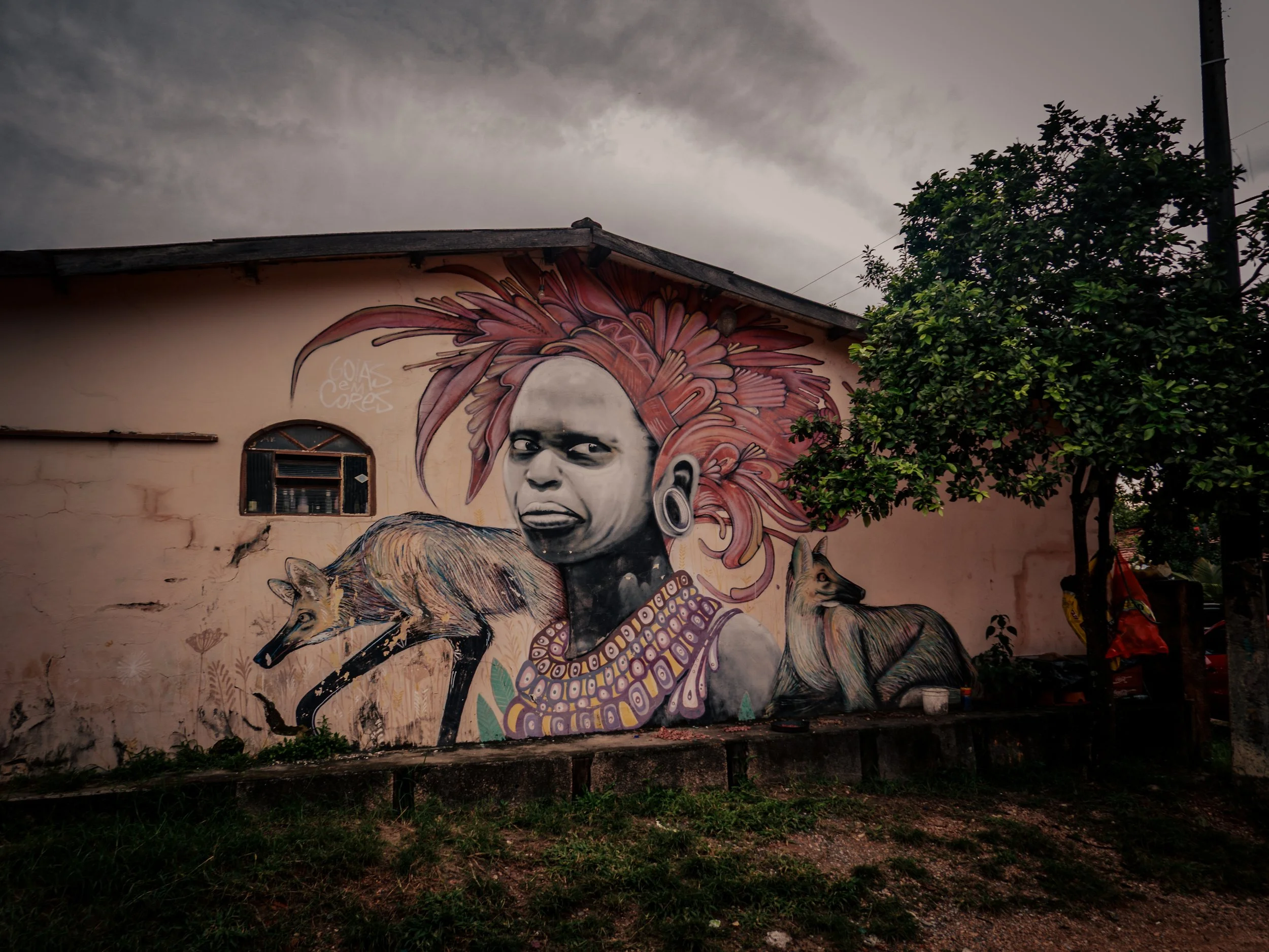 DSC05124-1HIGHRES light.jpg.jpg