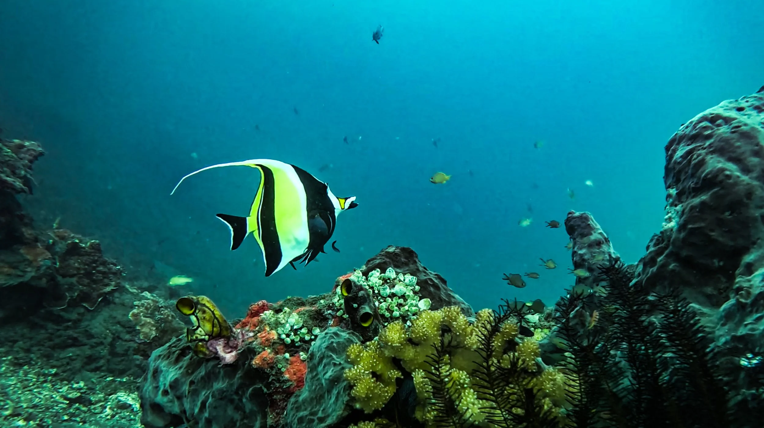 Raja Ampat, New Guinea Indonesia