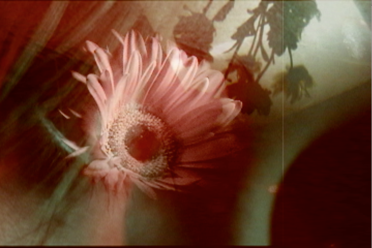 Screen shot 2010-11-02 at 12.59.39 PM.png