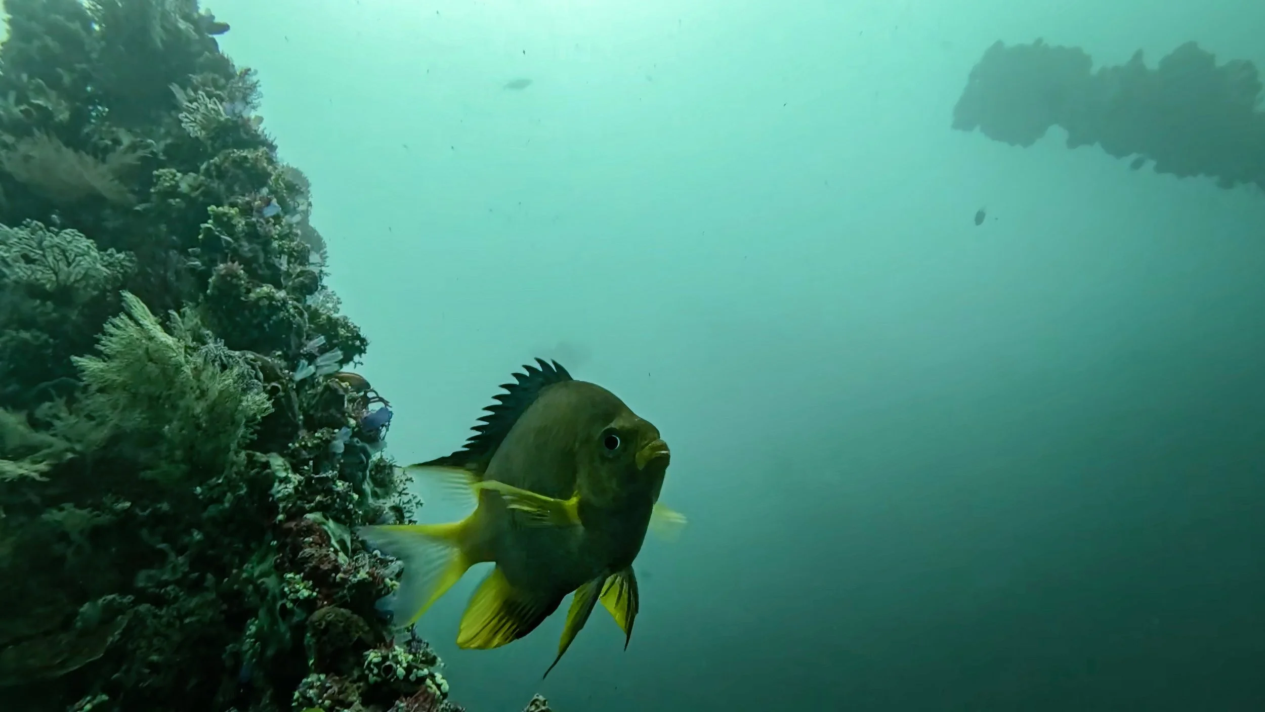 -aiScreenshot 2025-04-06 at 12.49.58 AM-1lowerres1700_pix-sharpen-upscale-1.7x.jpeg