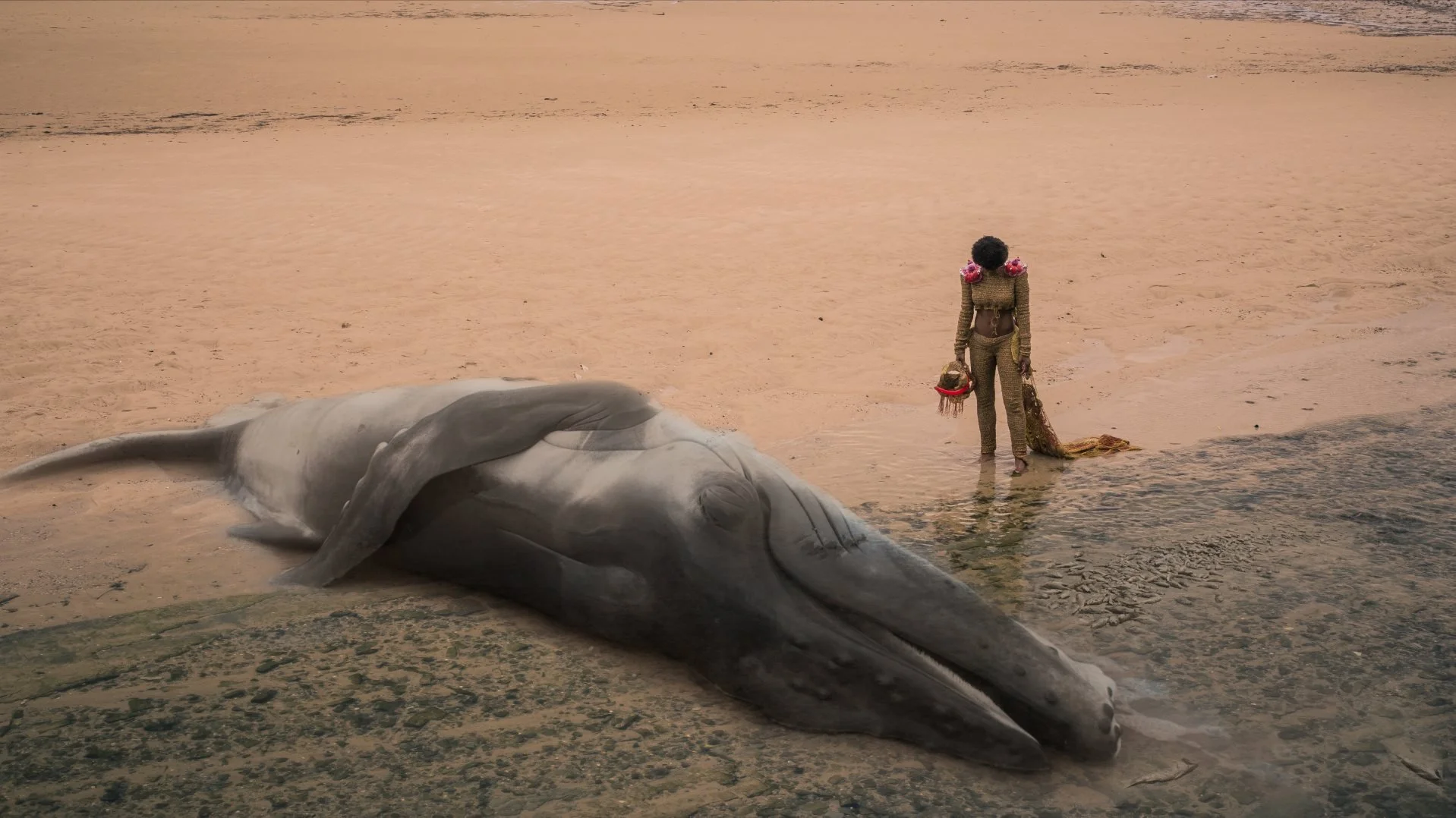 SACATAR RESIDENCY BRAZIL