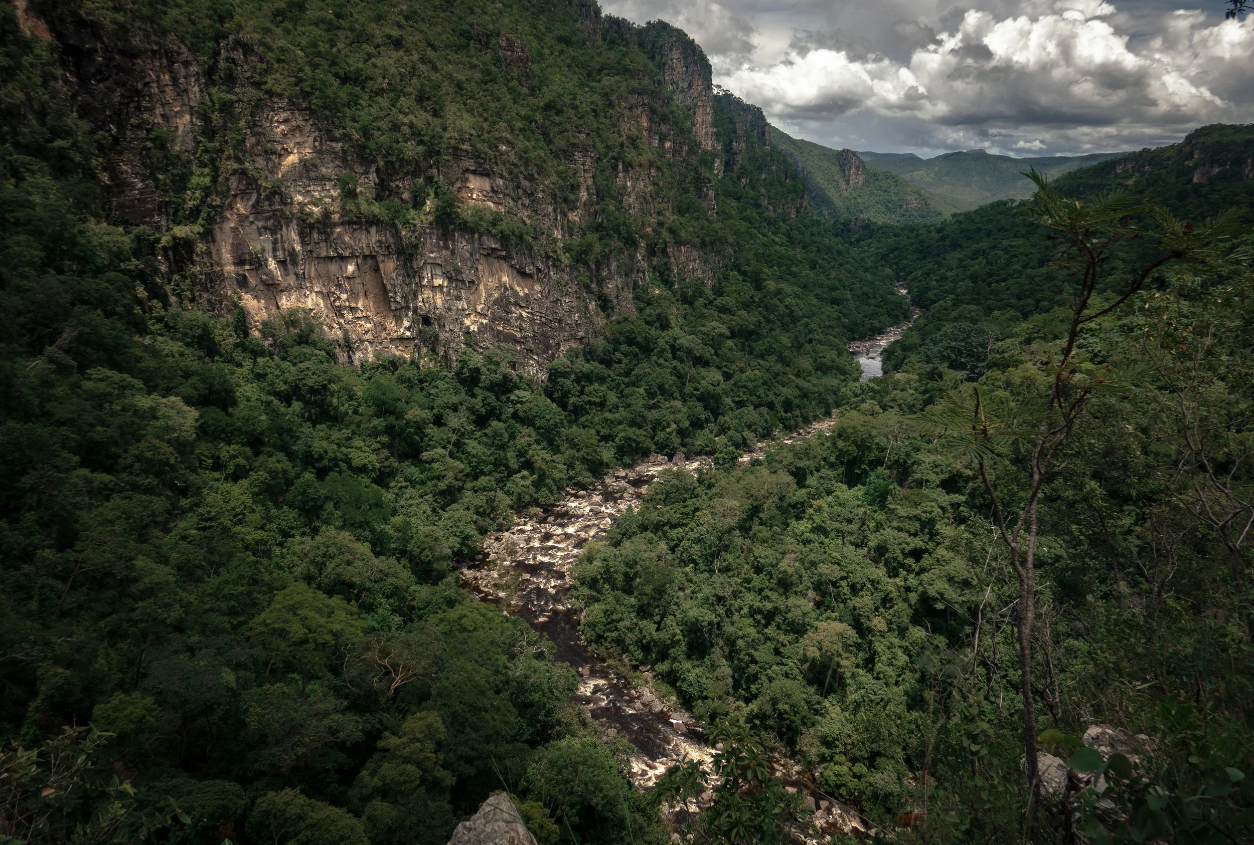 DSC05000-1HIGHRES light.jpg.jpg