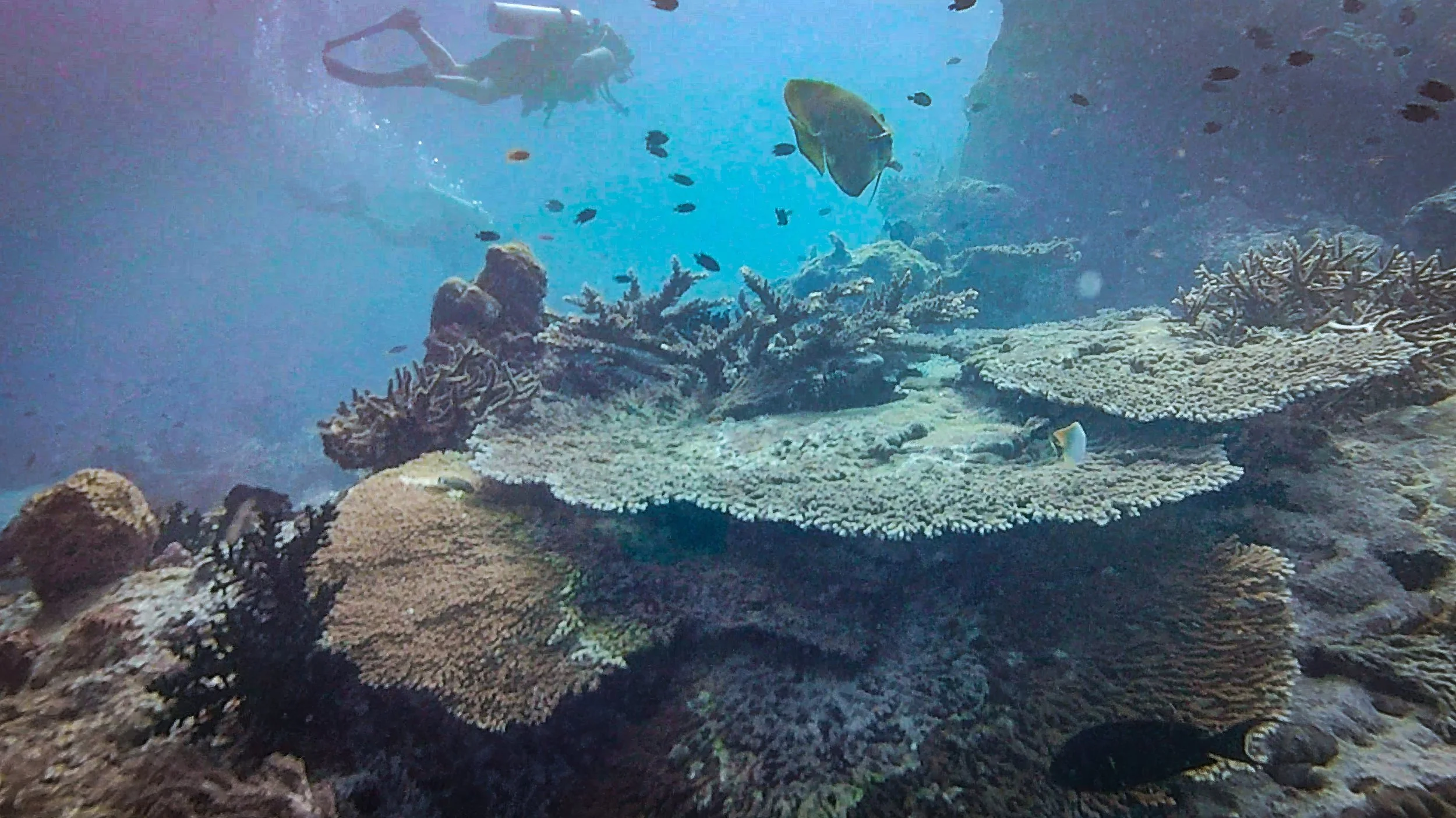 -aiScreenshot 2025-04-09 at 2.07.40 PM-1lowerres1700_pix-upscale-1.6x.jpeg